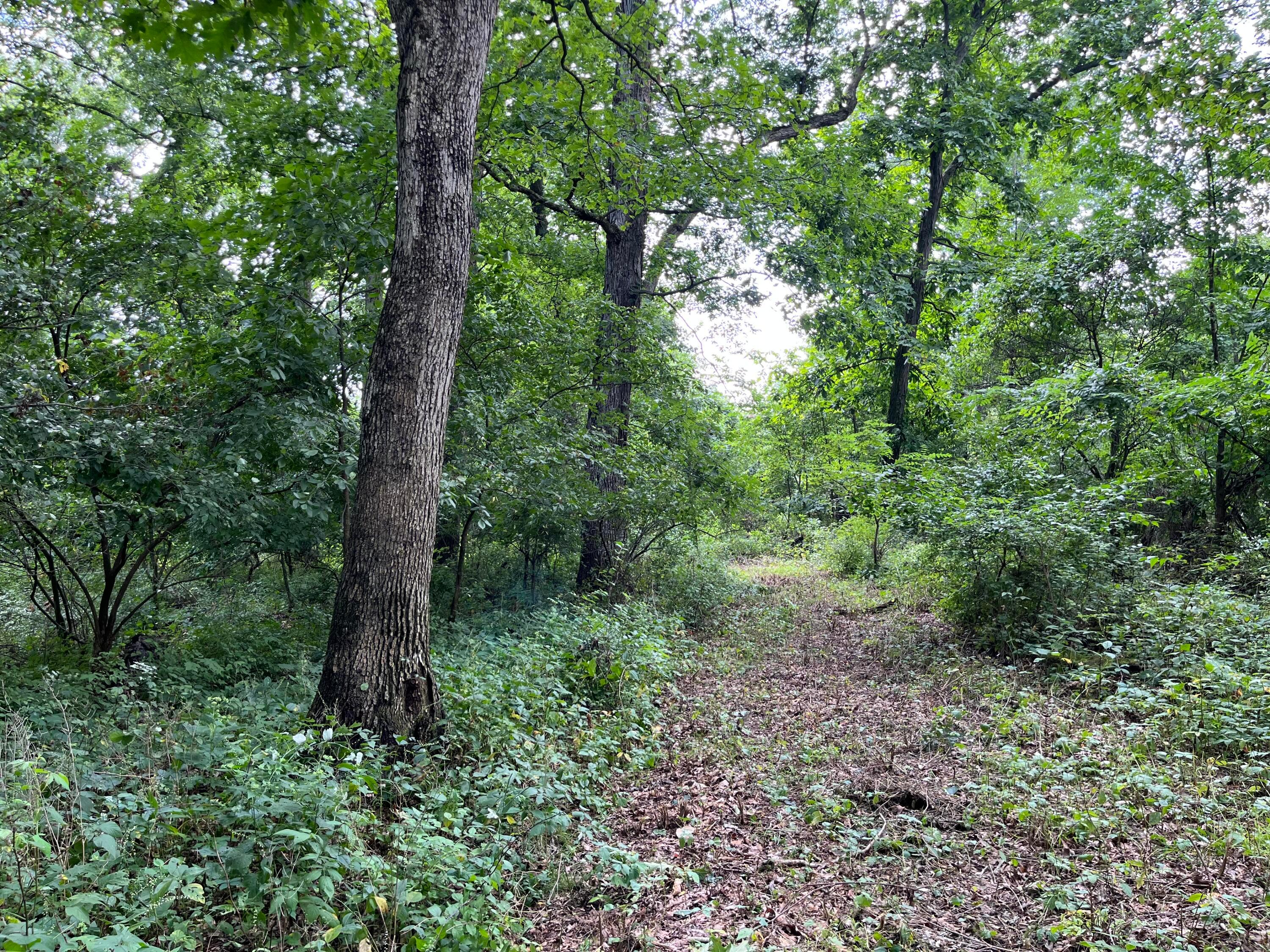 12600 Gilchrist Road Property Photo 60