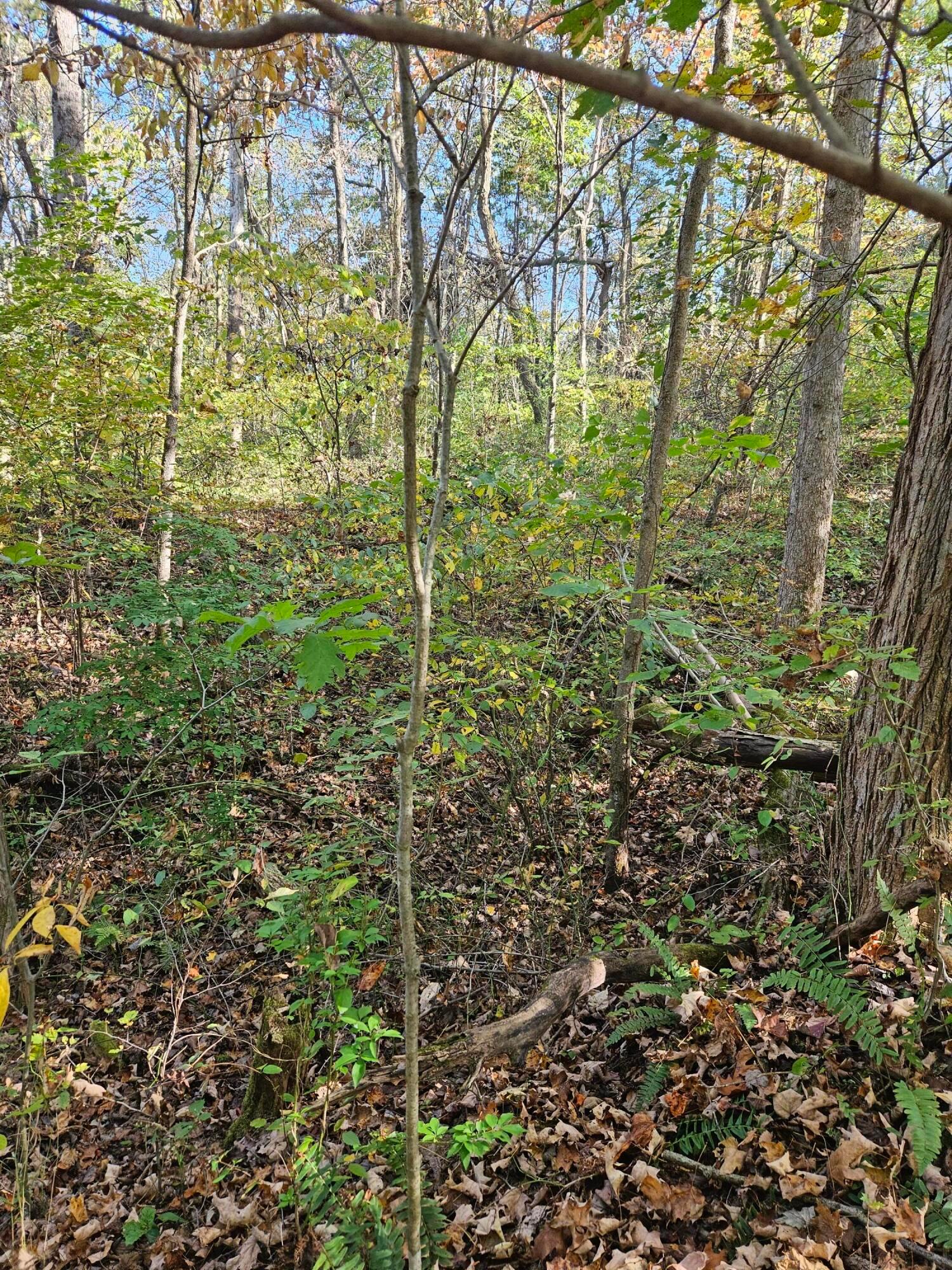 0 Heddleson Ridge Property Photo