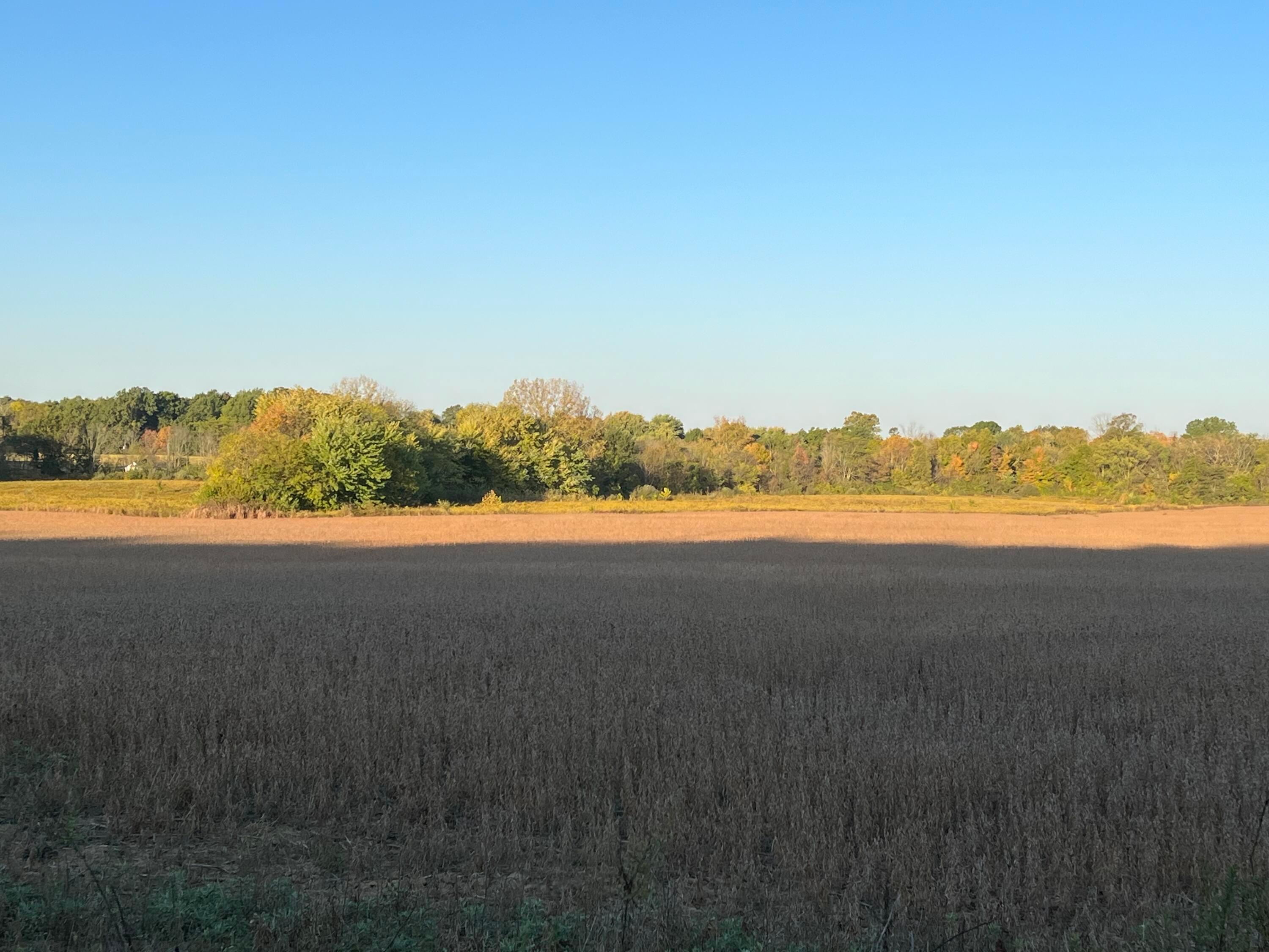 0 Old Tarlton Pike Property Photo 4
