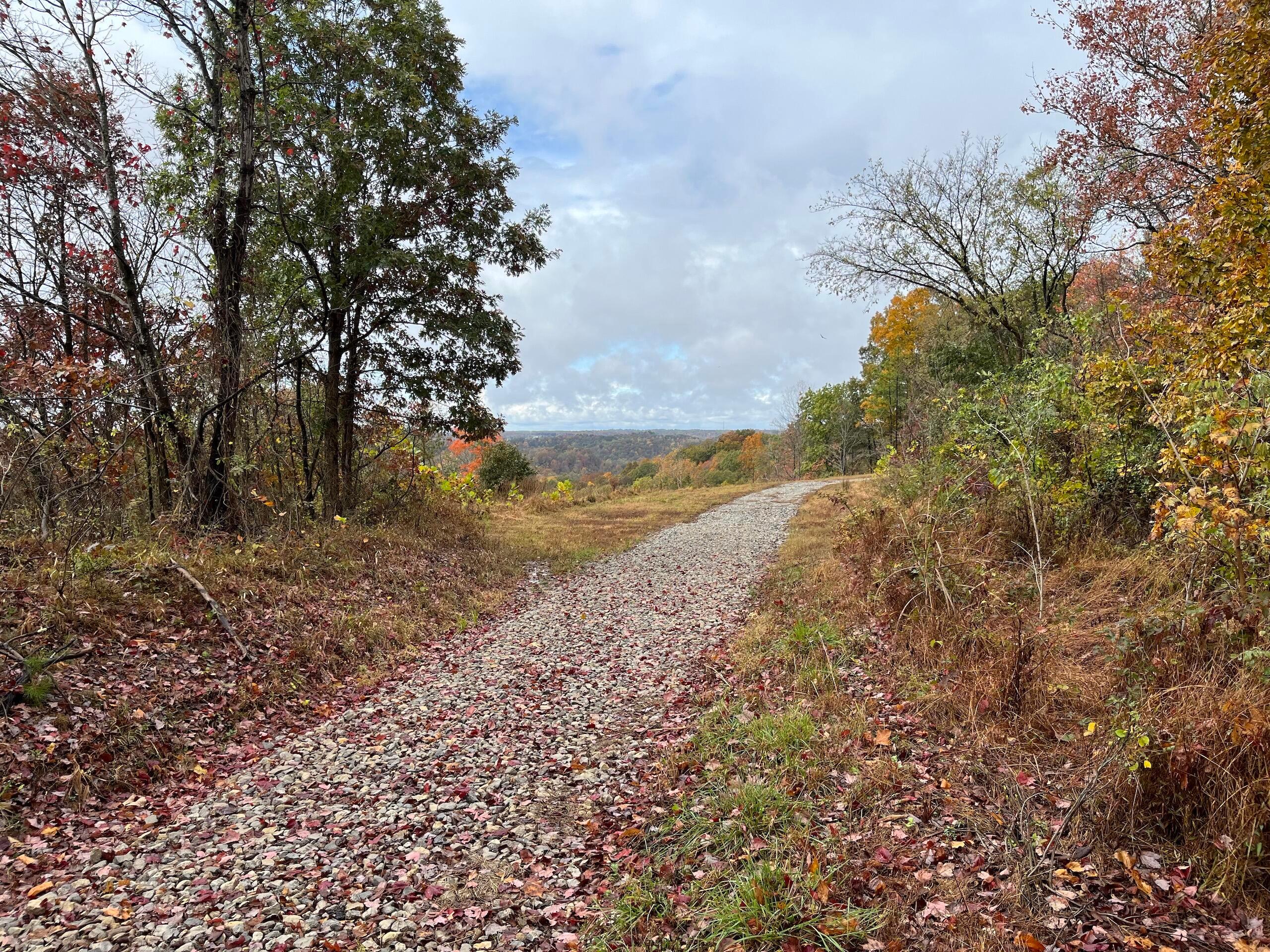 0 Bigley Ridge Road Property Photo 2