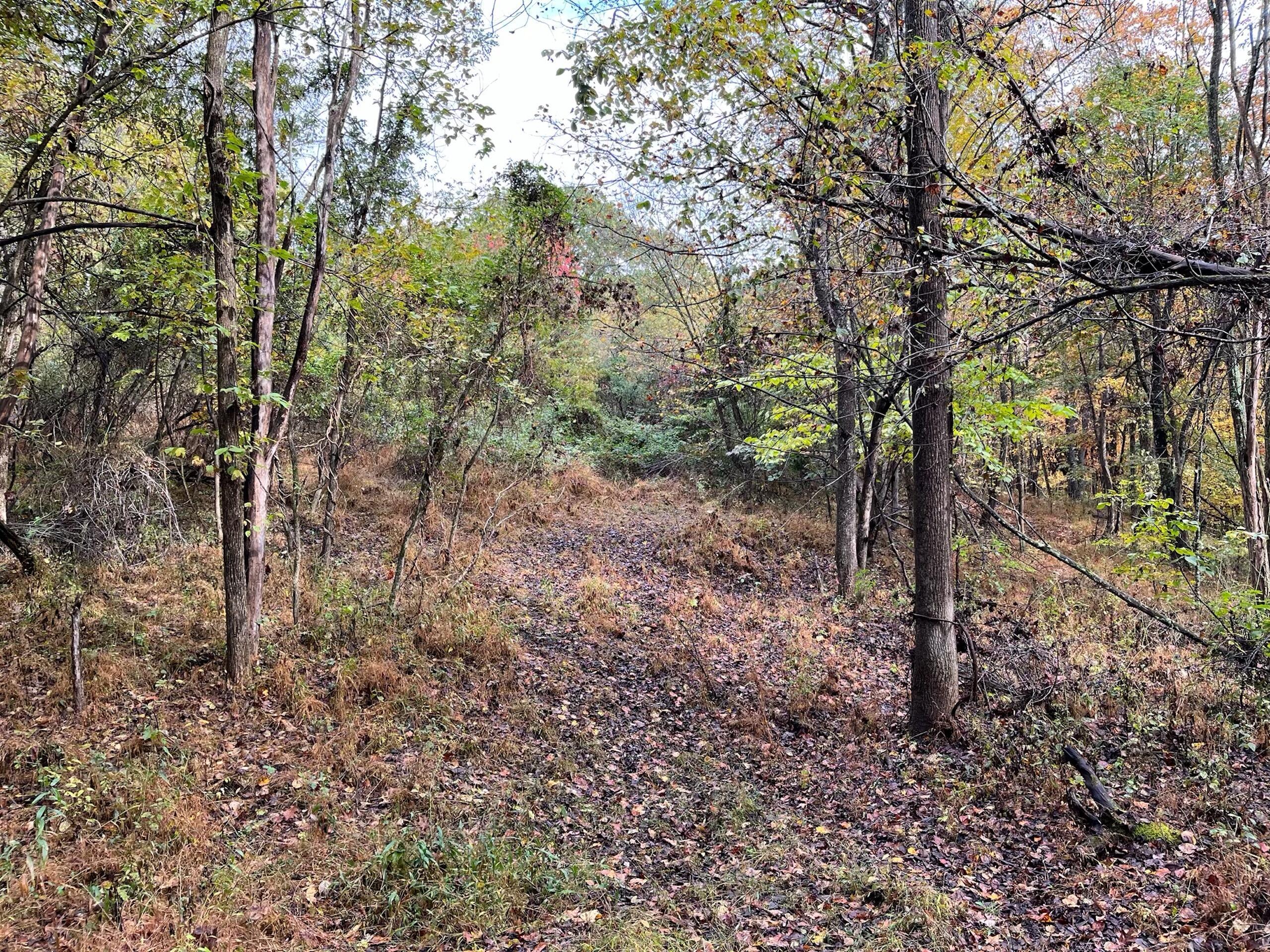 0 Bigley Ridge Road Property Photo 12