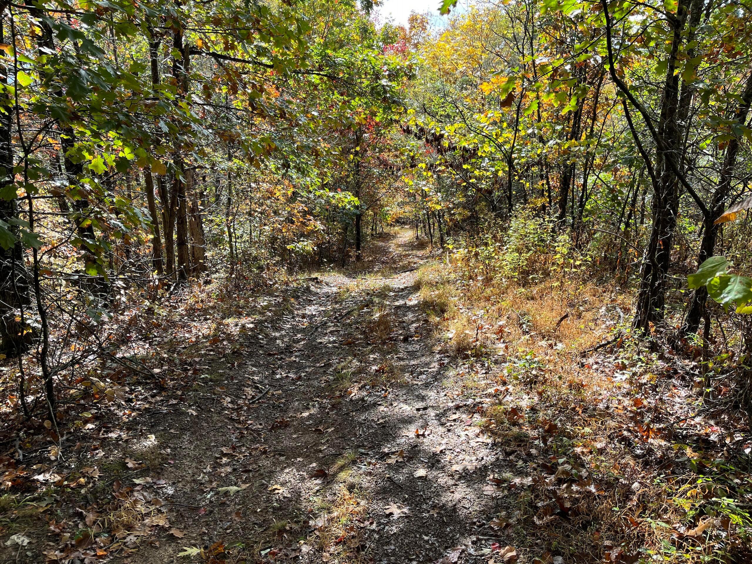0 Bigley Ridge Road Property Photo 14