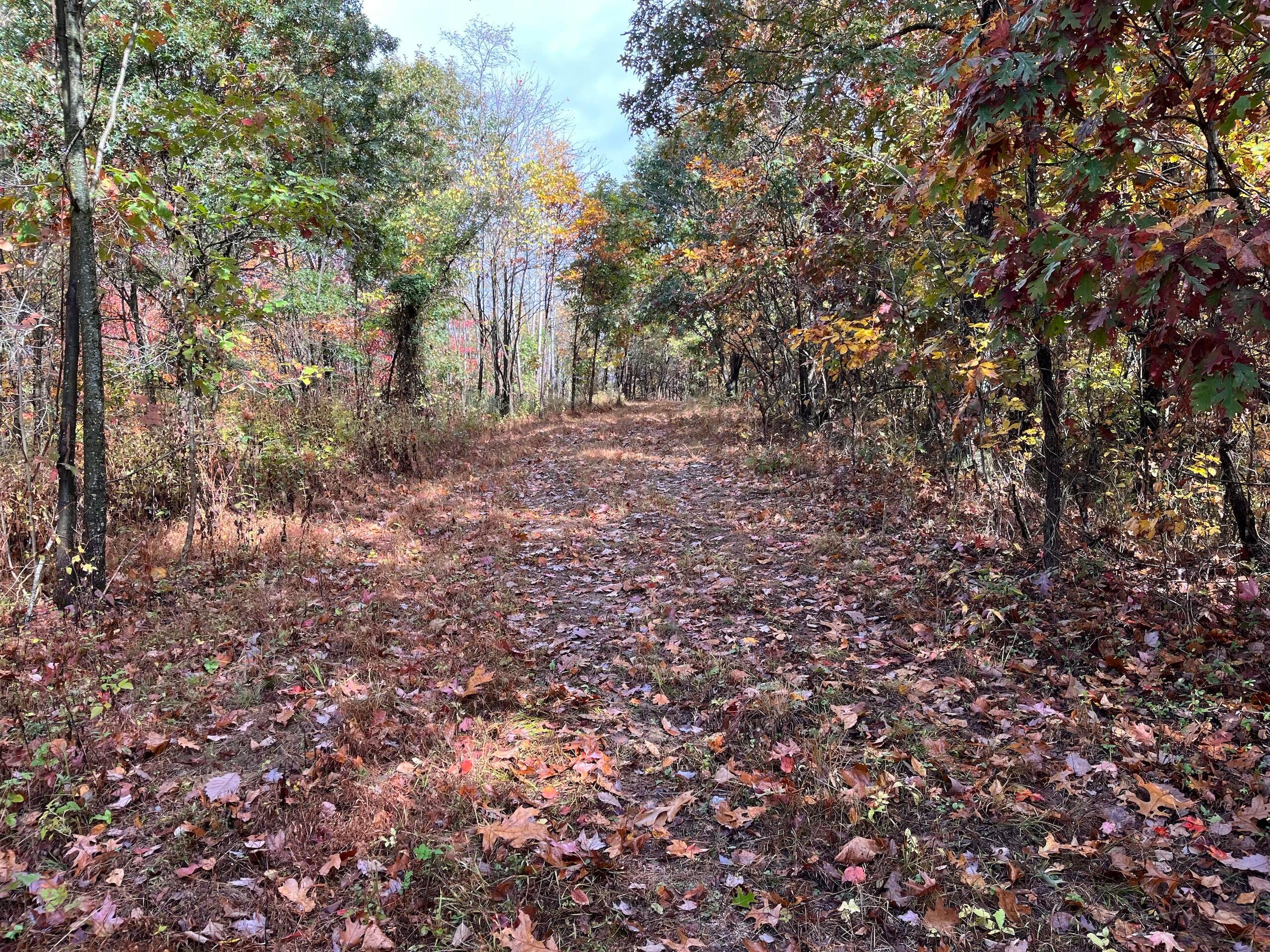 0 Bigley Ridge Road Property Photo 15