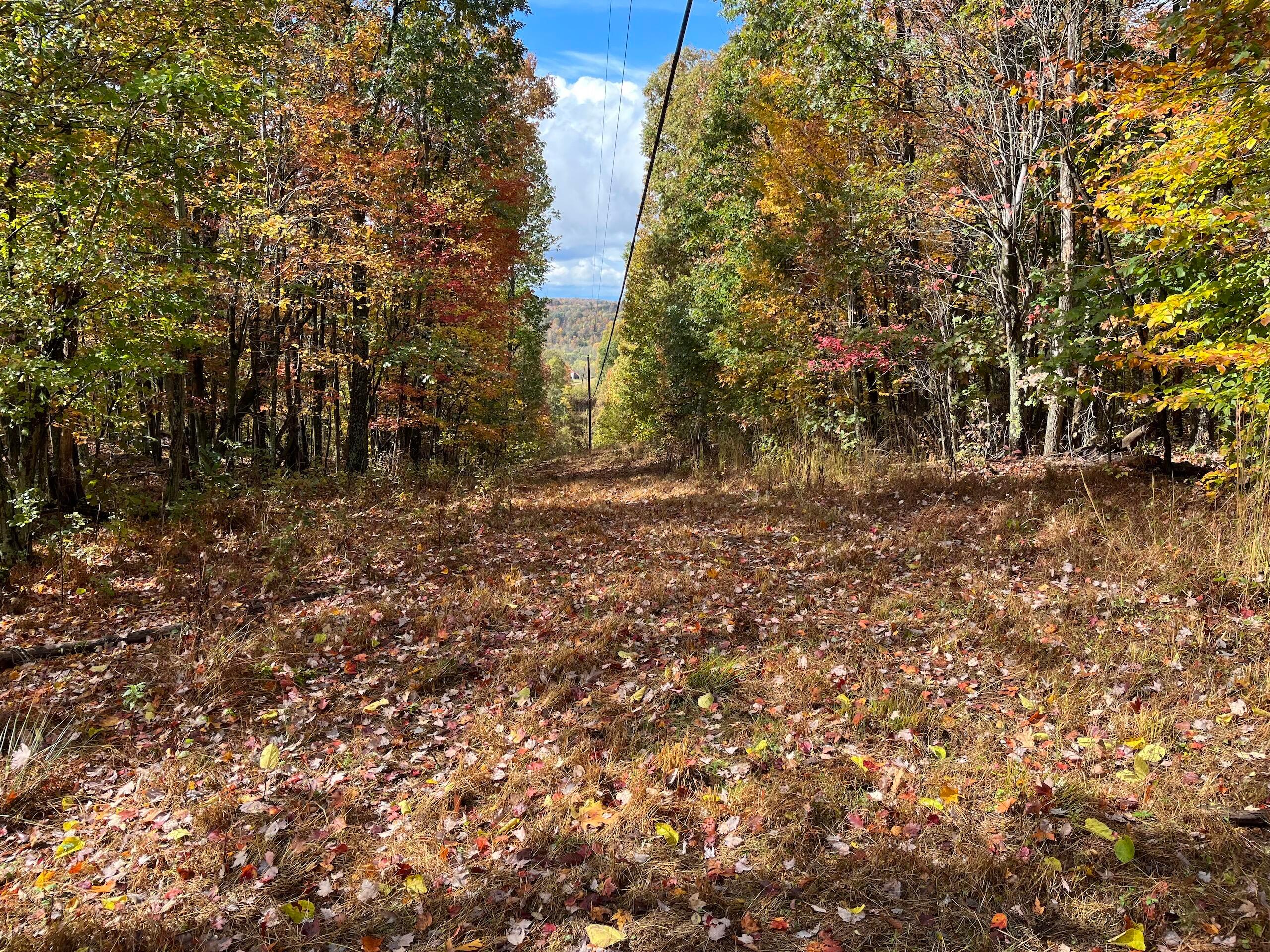 0 Bigley Ridge Road Property Photo 16