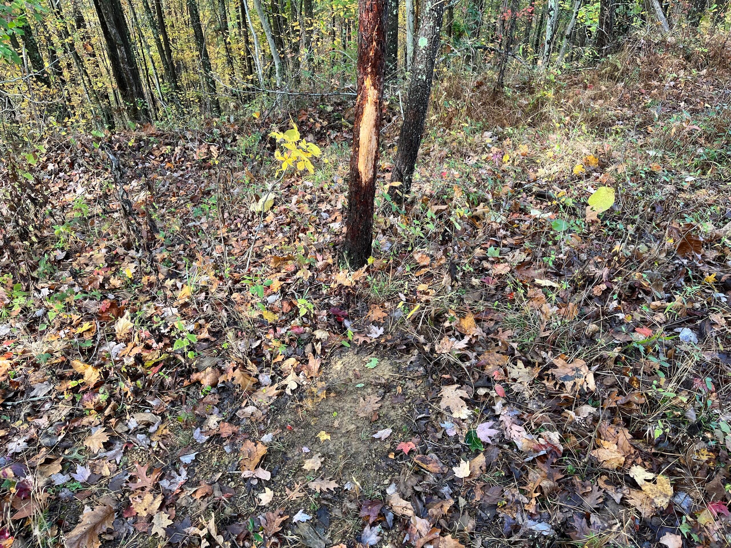 0 Bigley Ridge Road Property Photo 29