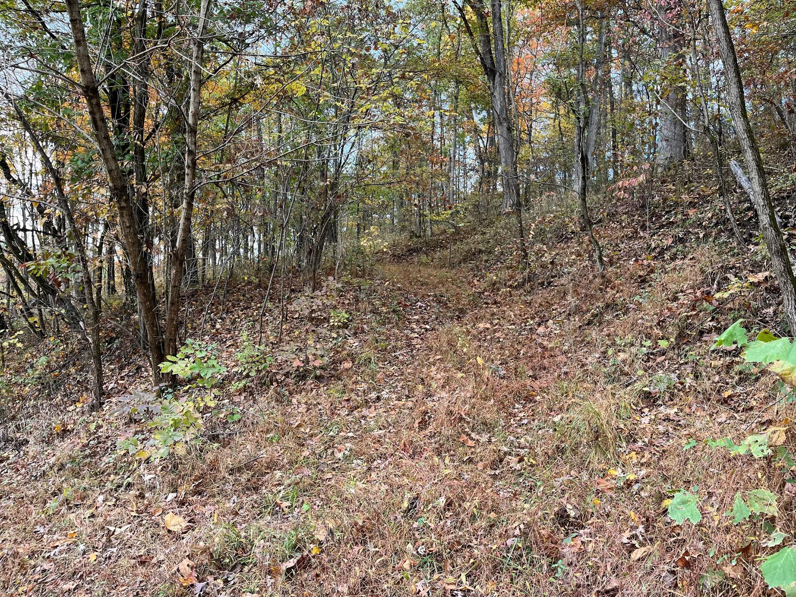 0 Bigley Ridge Road Property Photo 31