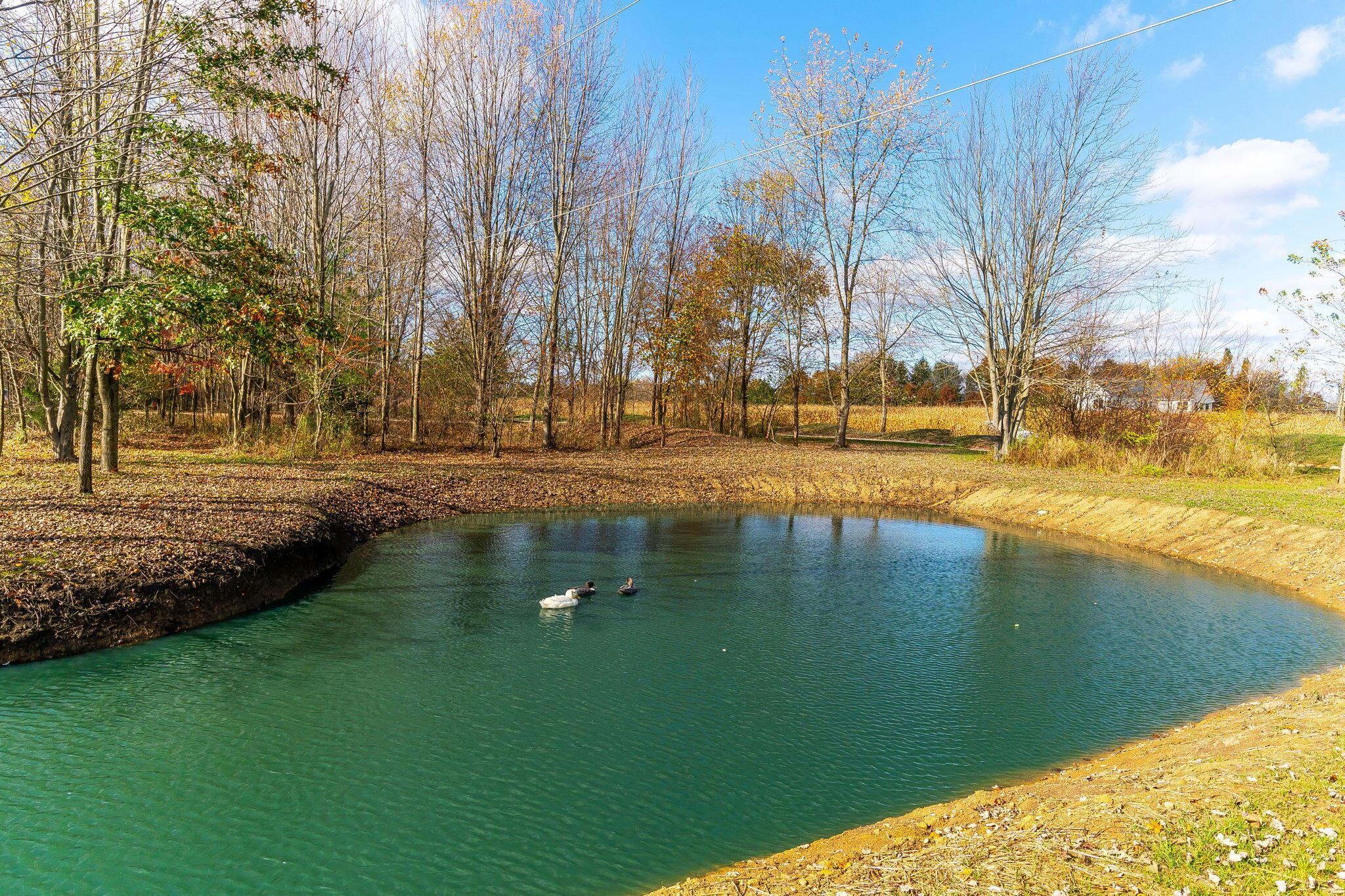 10937 Johnstown Road Property Photo 42