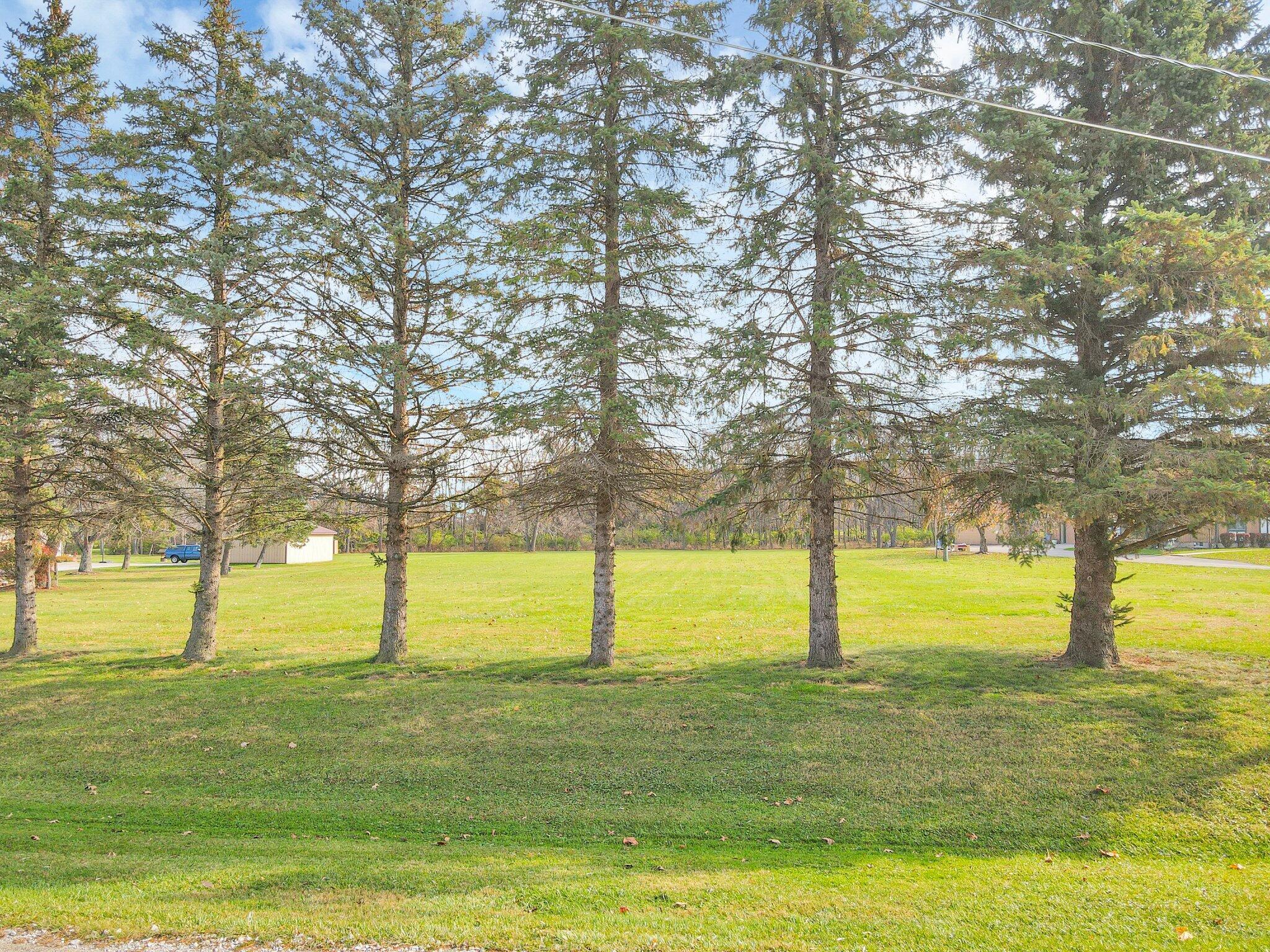 0 Springwater Drive Property Photo 7