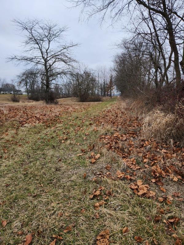 0 Finley Guy Road Property Photo 4