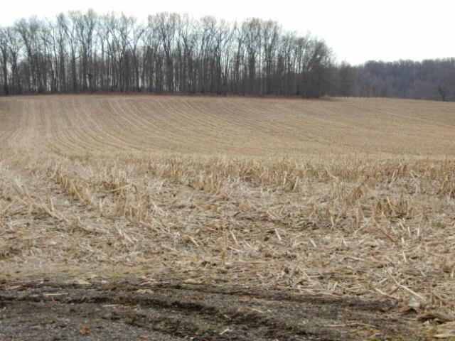 17970 Scott Road Property Photo 1