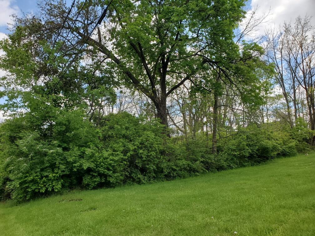 0 S Sandusky Street Property Photo 7