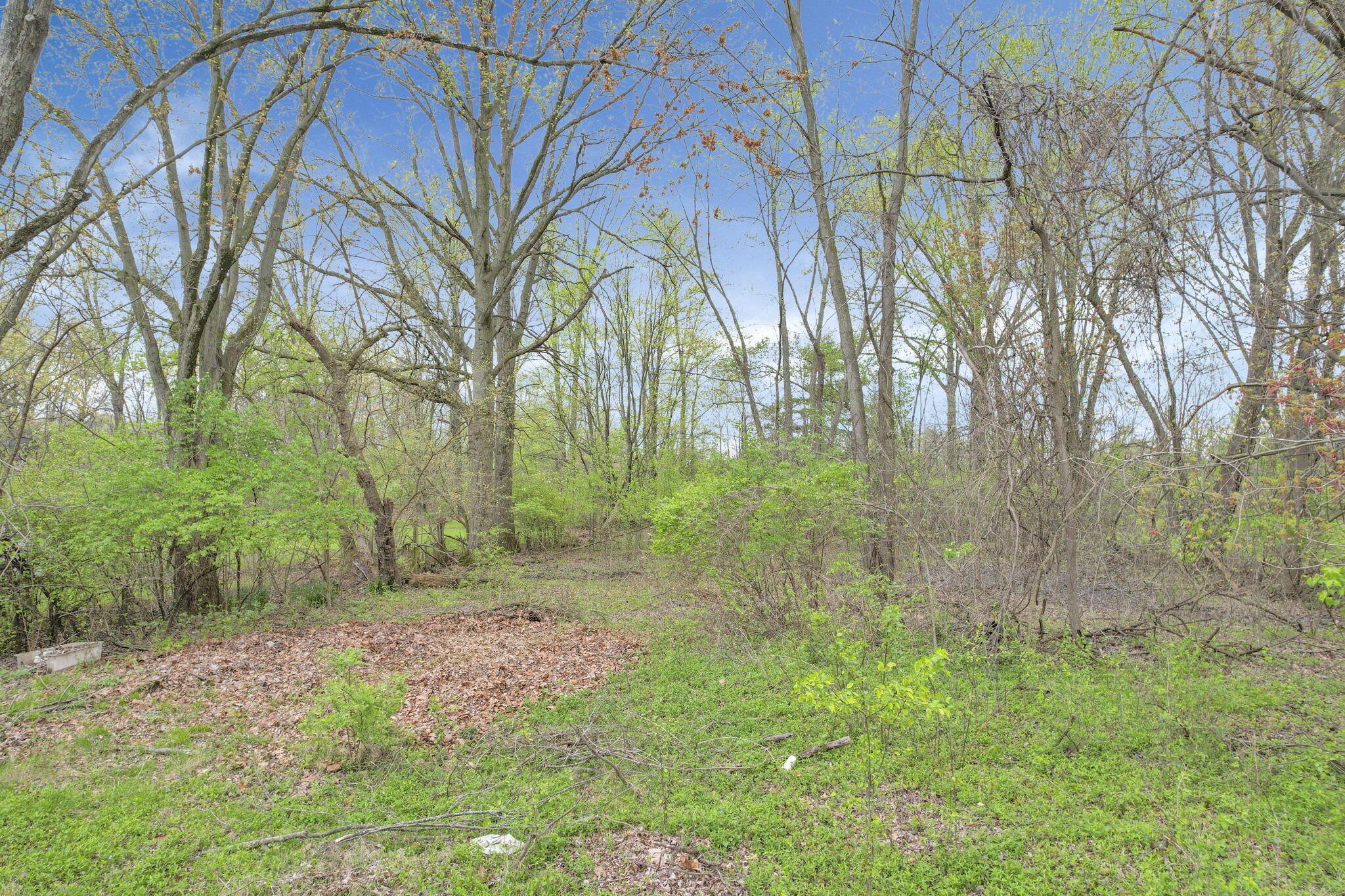 2423 Stelzer Road Property Photo 5