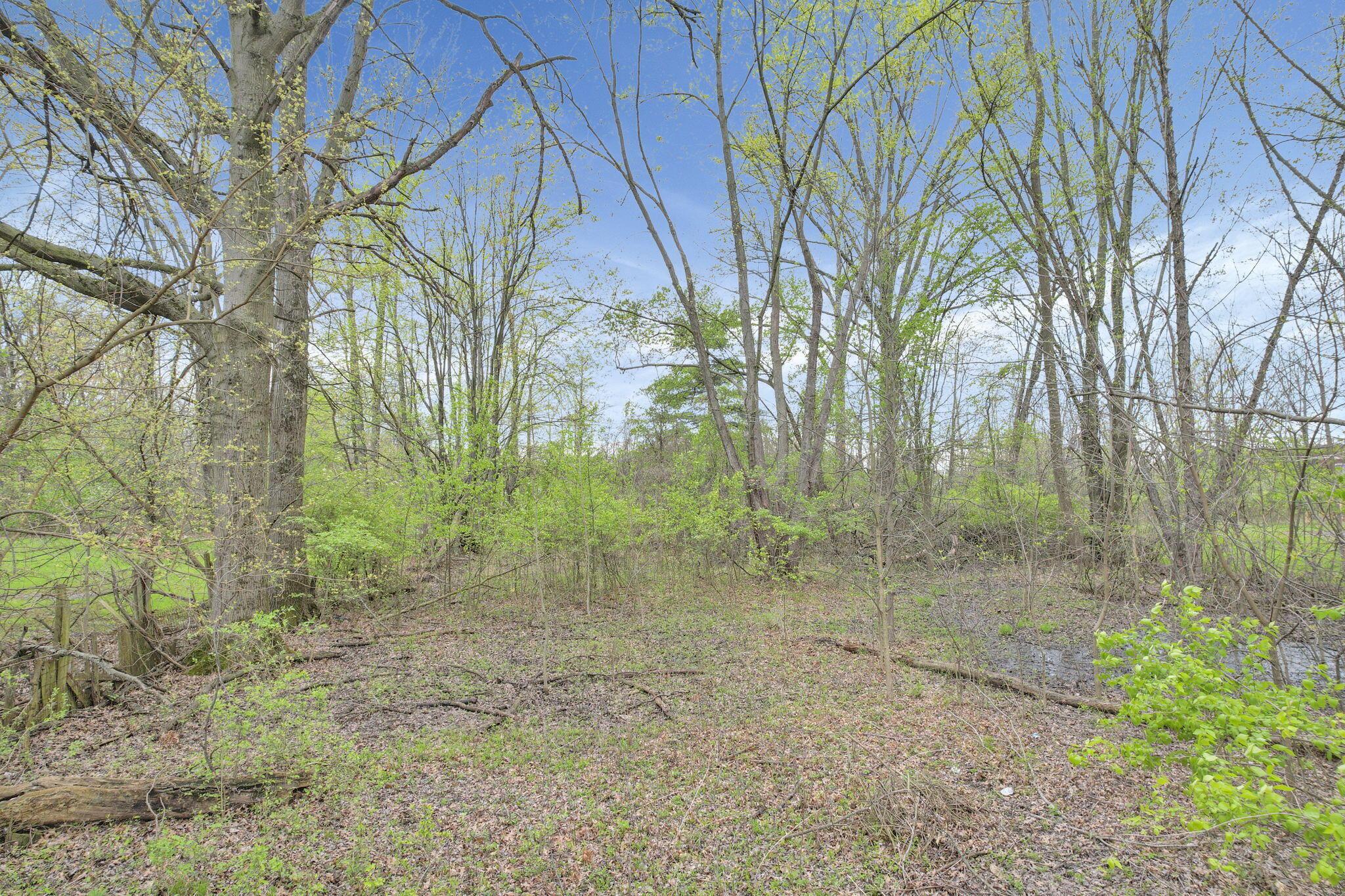 2423 Stelzer Road Property Photo 6