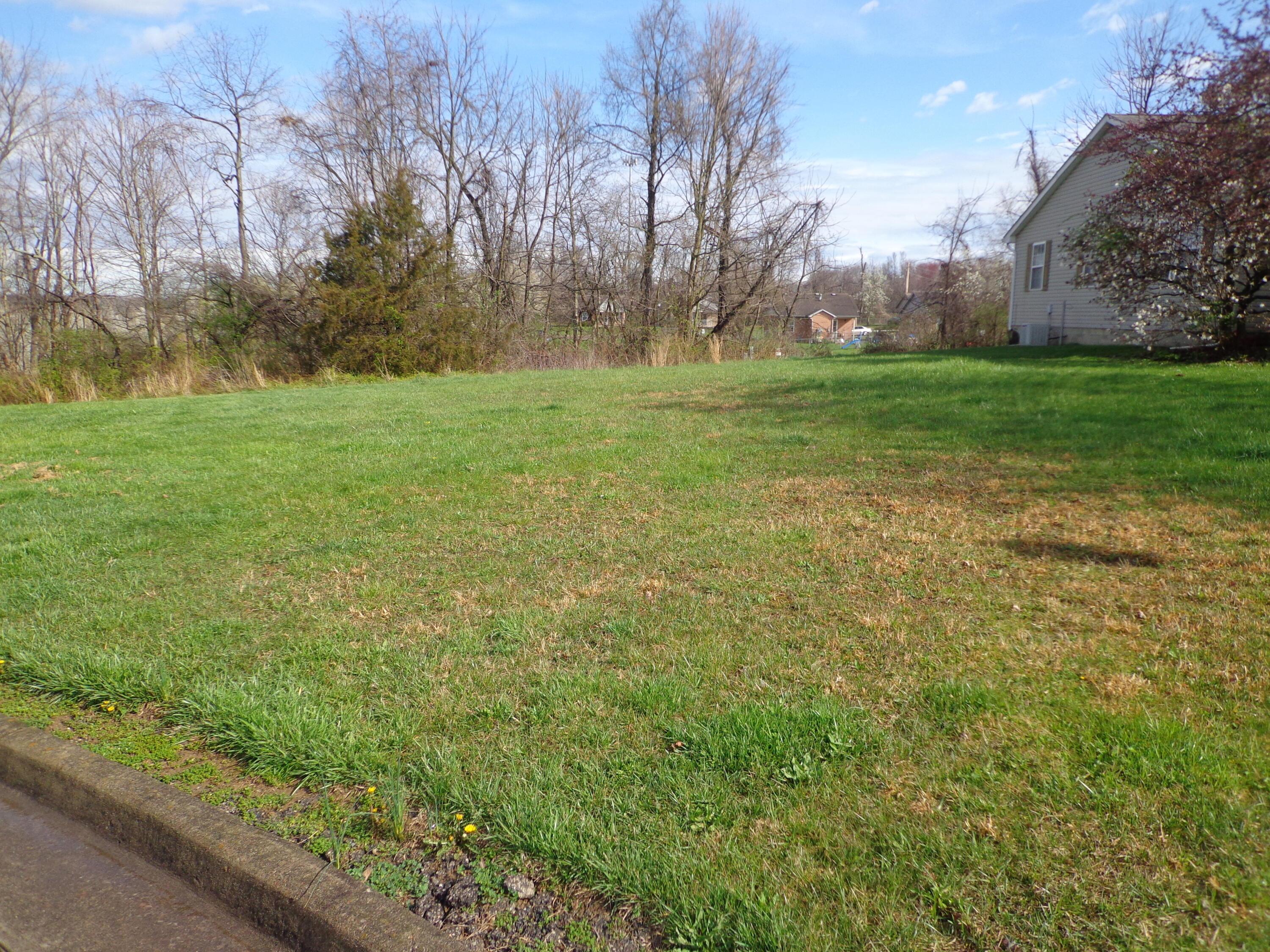 0 Ridgeview Court Property Photo 2