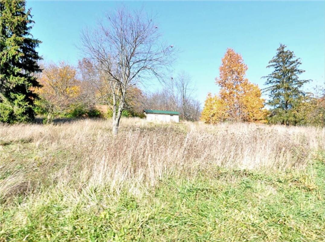 8175 Loches Road Property Photo 3