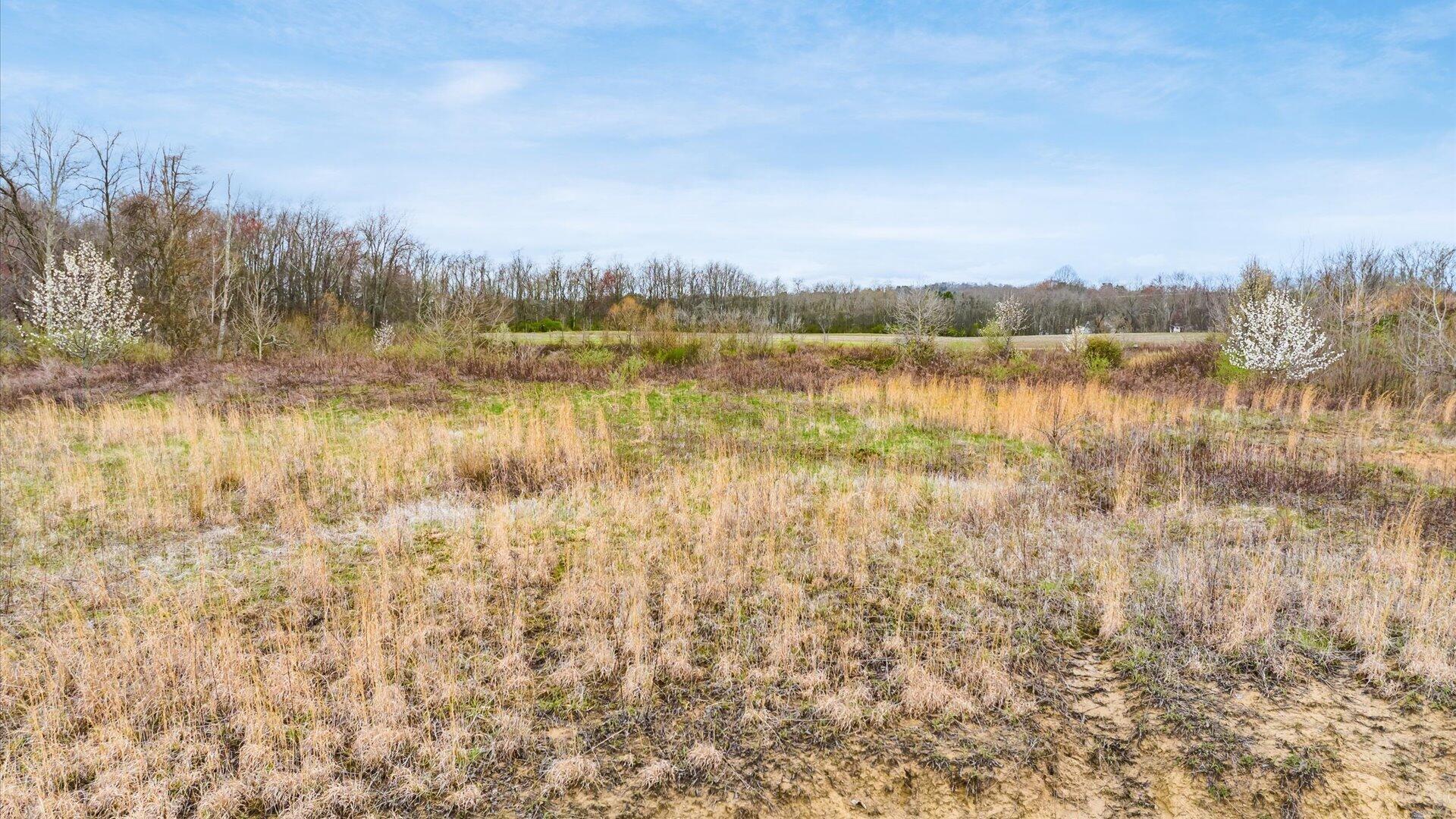 0 Sheffield Circle-9.4 Acres Property Photo 8