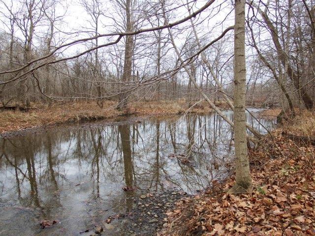 2634 County Road 15 Property Photo 13