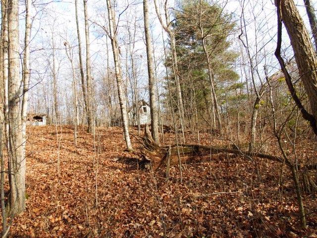 2634 County Road 15 Property Photo 17