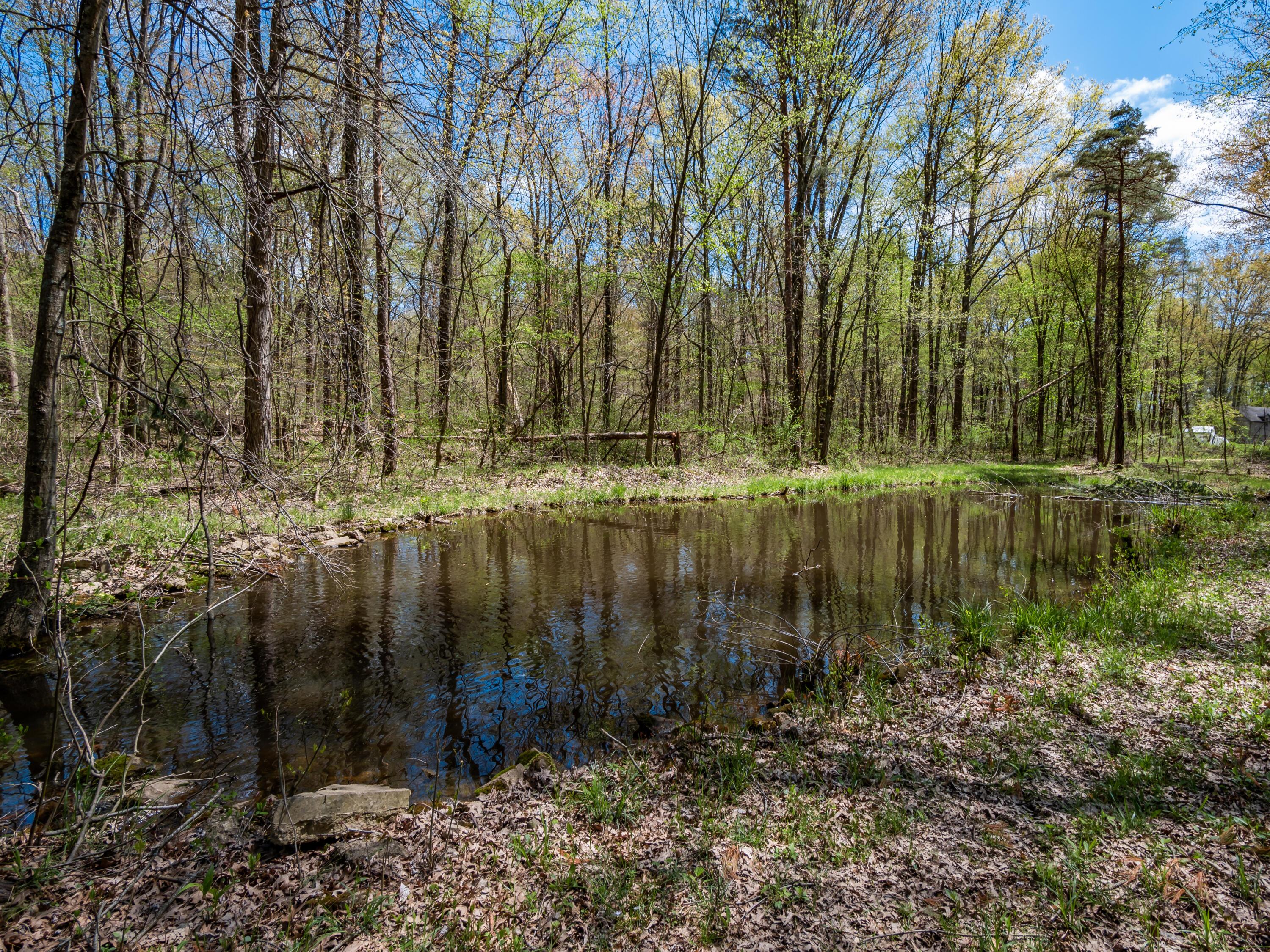 3773 Dixon Road Sw Property Photo 11