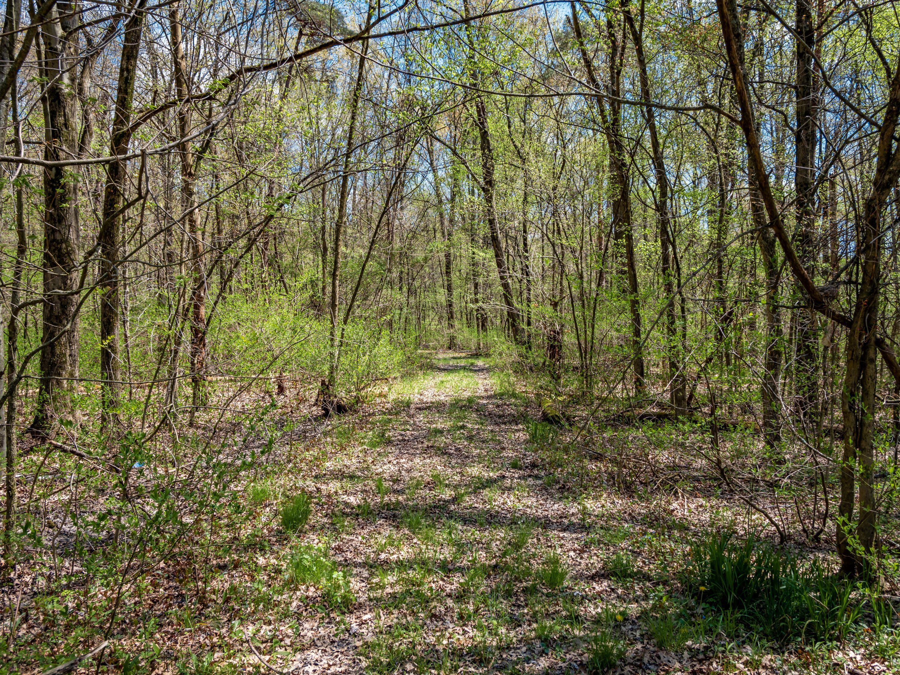 3773 Dixon Road Sw Property Photo 12