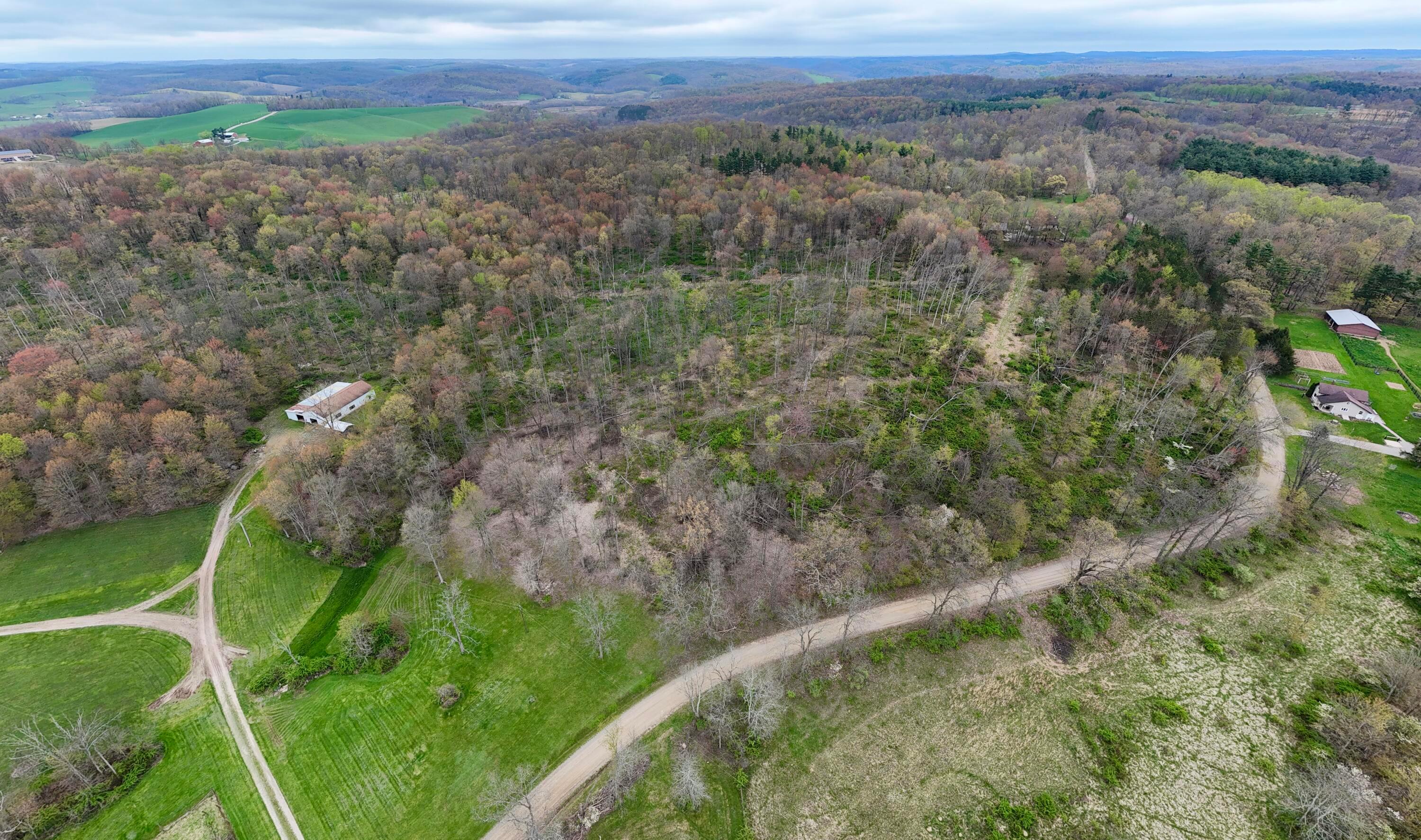 18021 Turkey Ridge Road Property Photo 20
