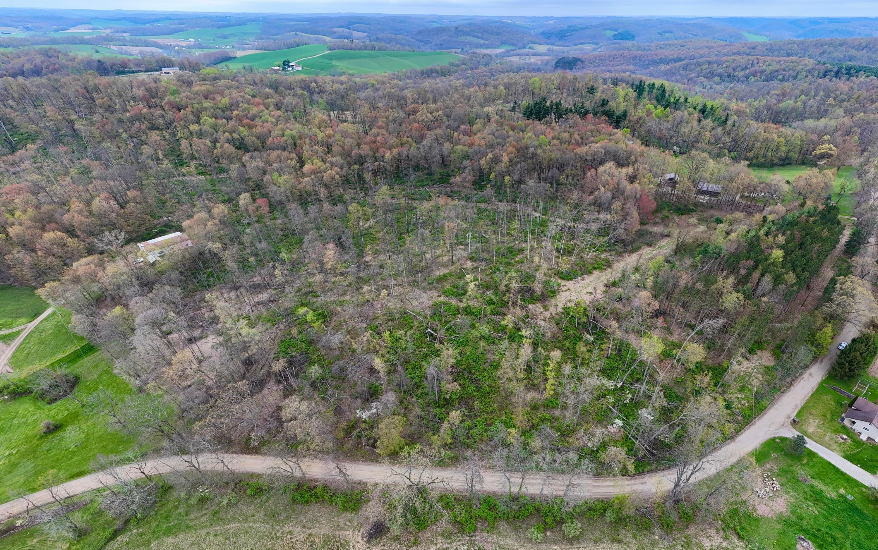 18021 Turkey Ridge Road Property Photo 22