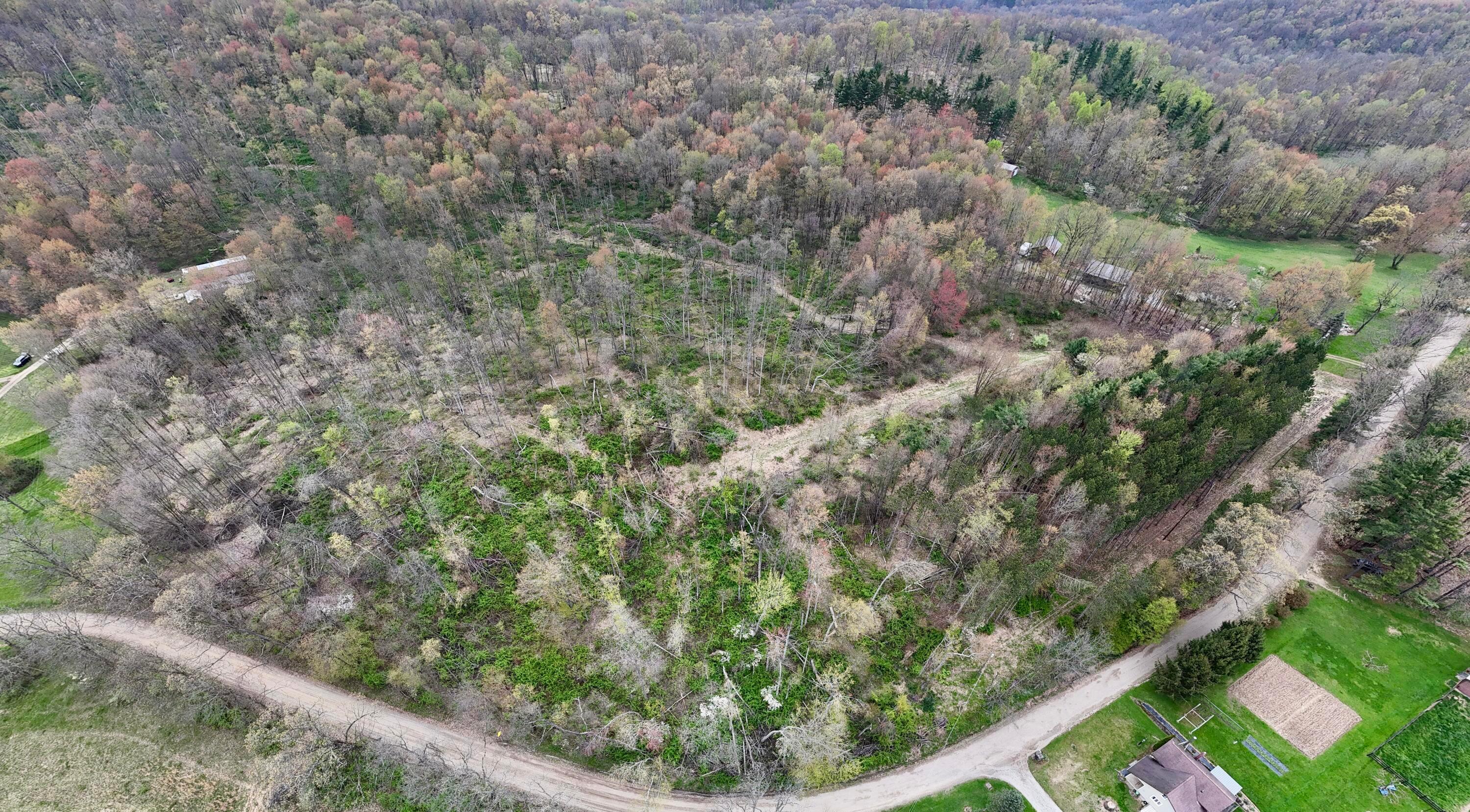 18021 Turkey Ridge Road Property Photo 23
