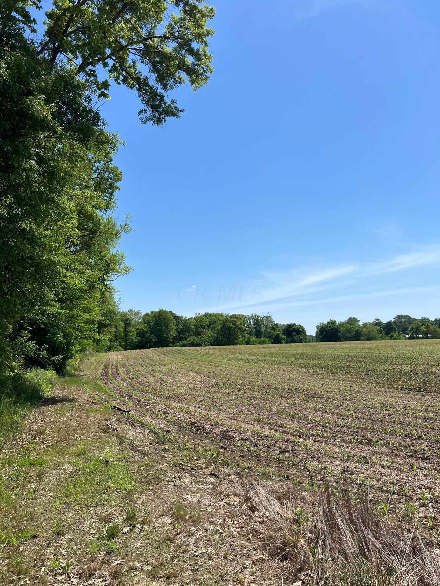 0 Bickel Church Road Nw, Lot 2 Property Photo