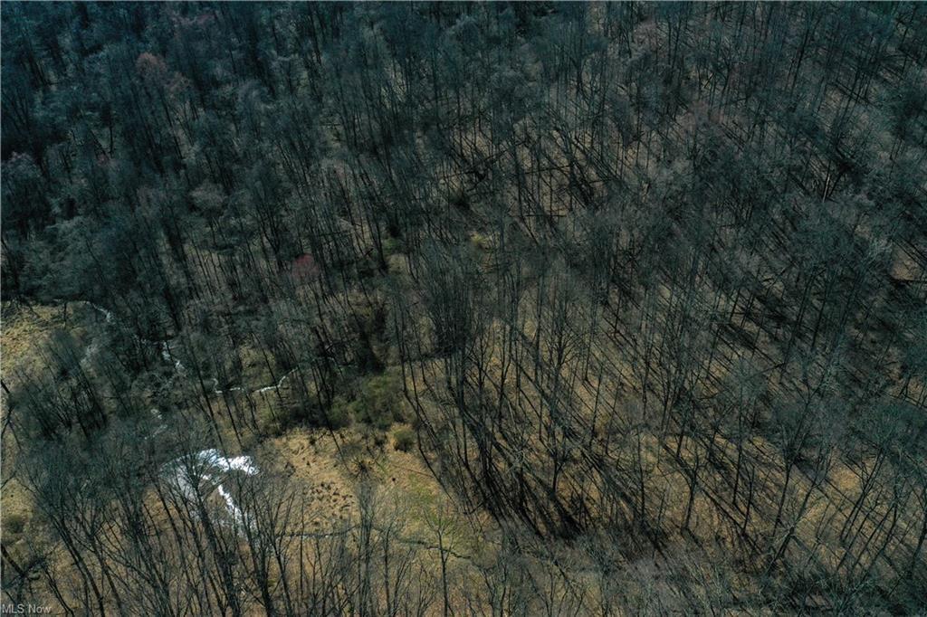 10345 Marne Road Property Photo 18