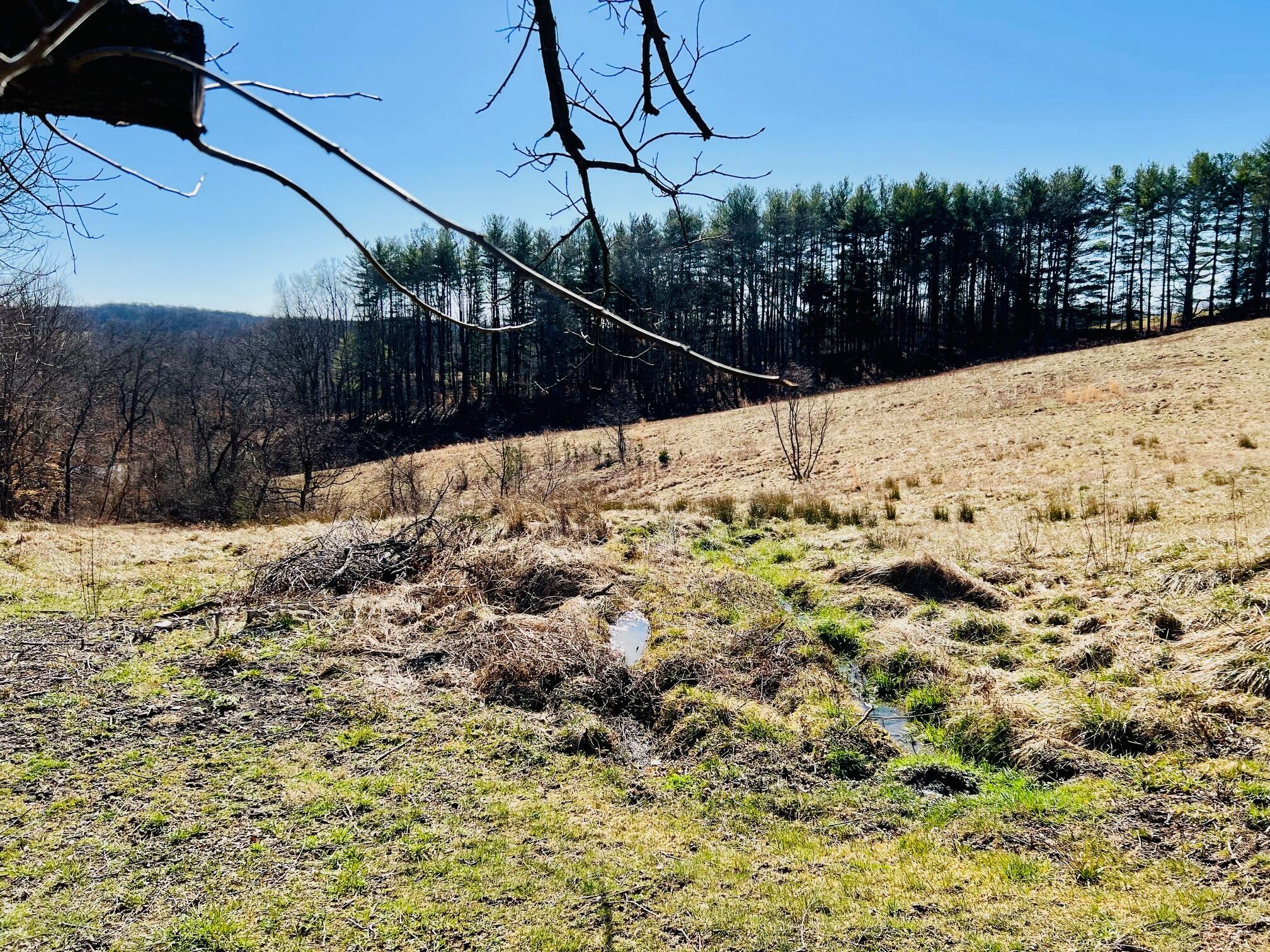5123 State Route 13 Se Property Photo 35