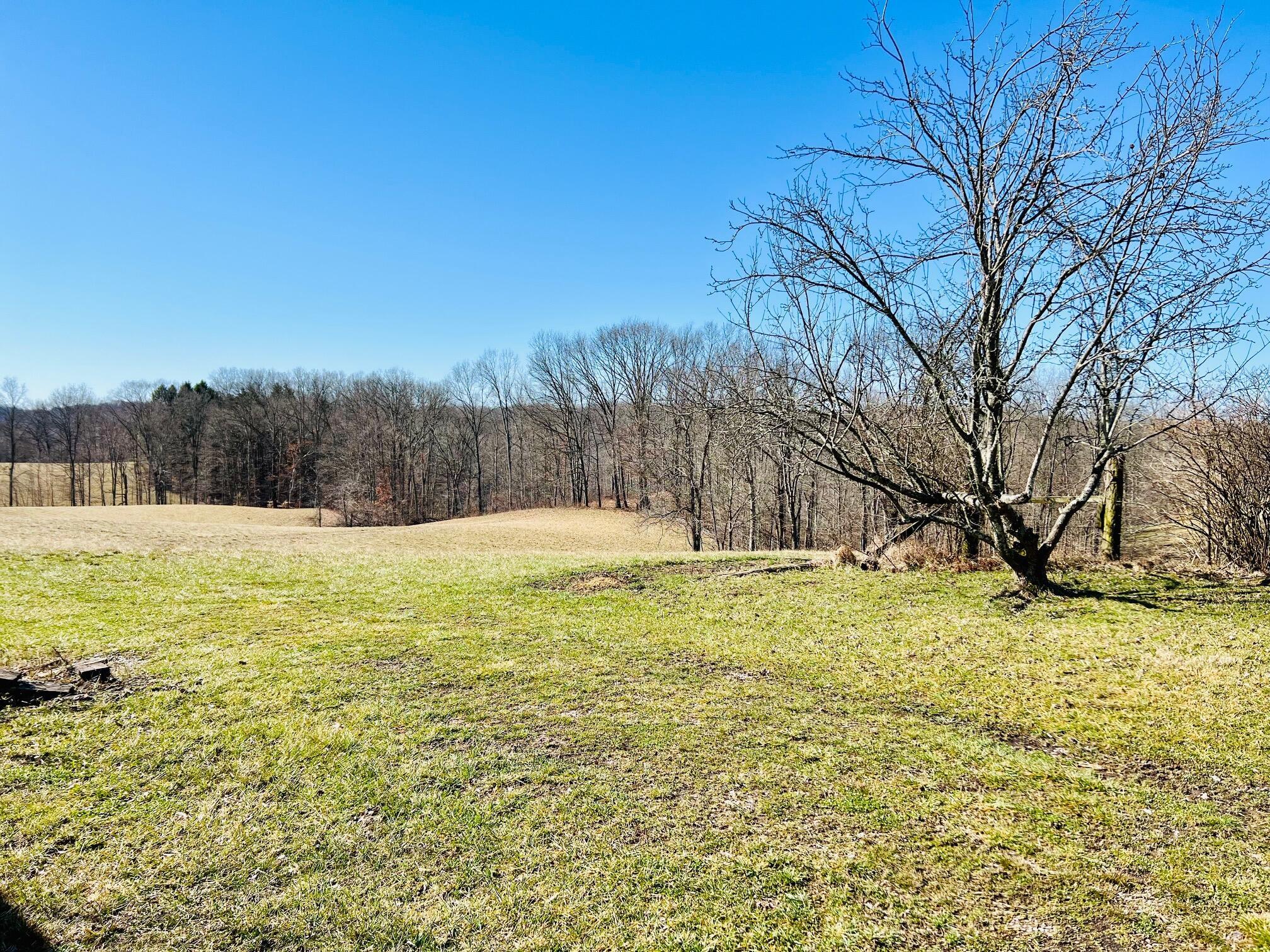 5123 State Route 13 Se Property Photo 39