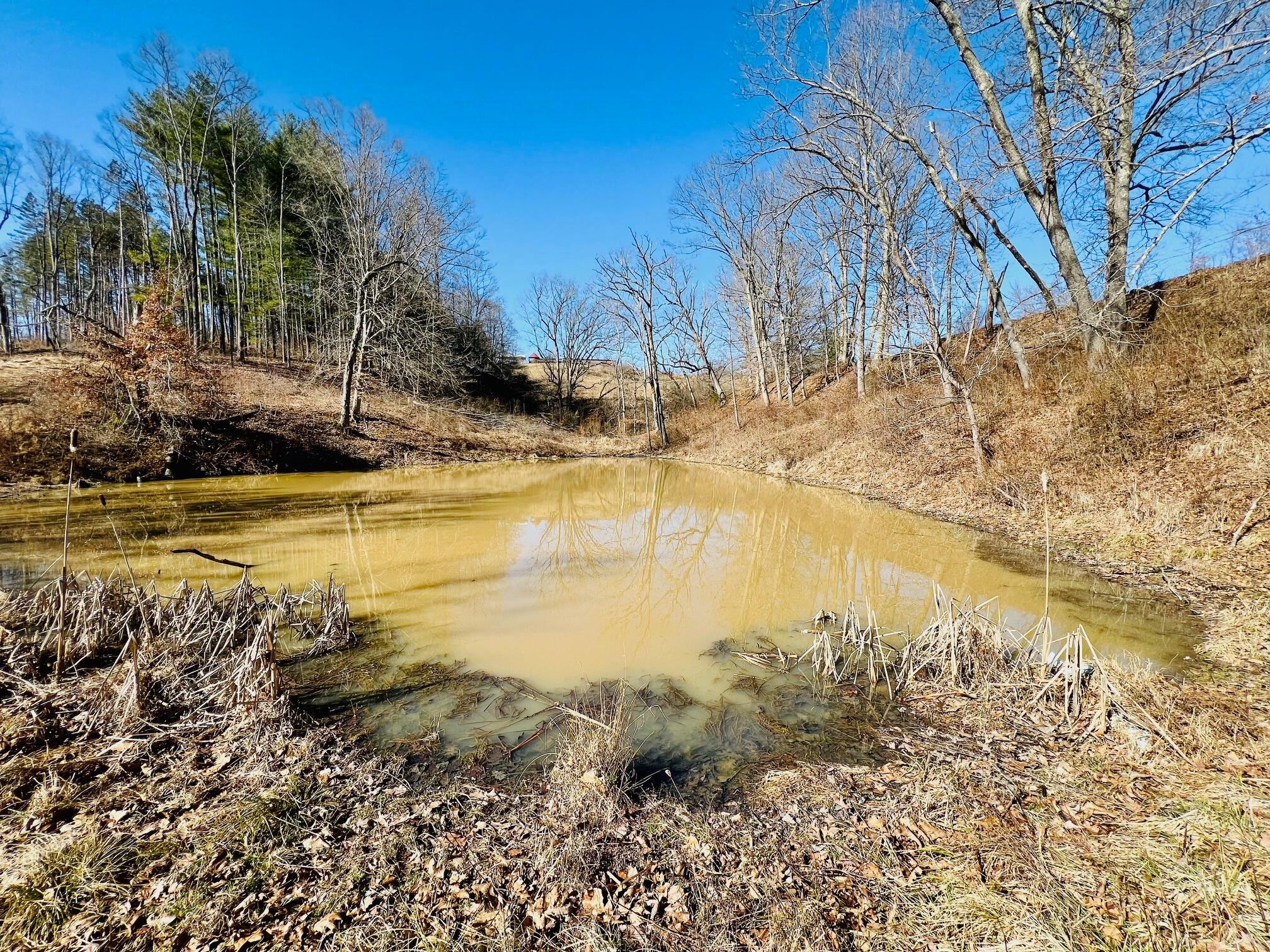 5123 State Route 13 Se Property Photo 40