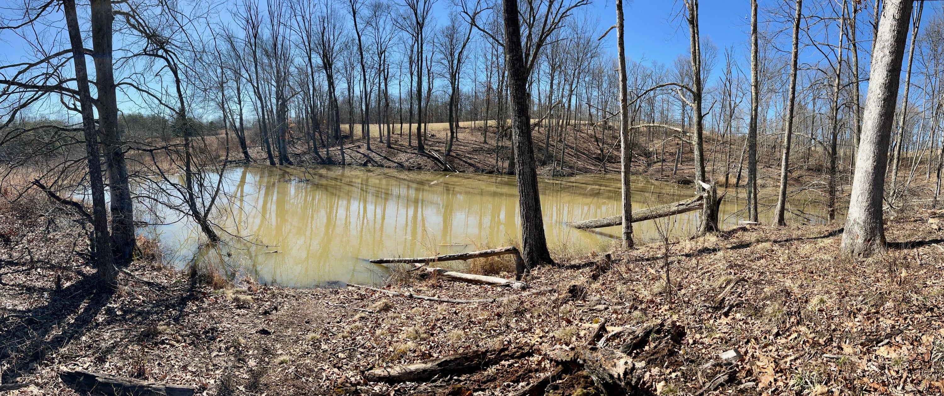 5123 State Route 13 Se Property Photo 43