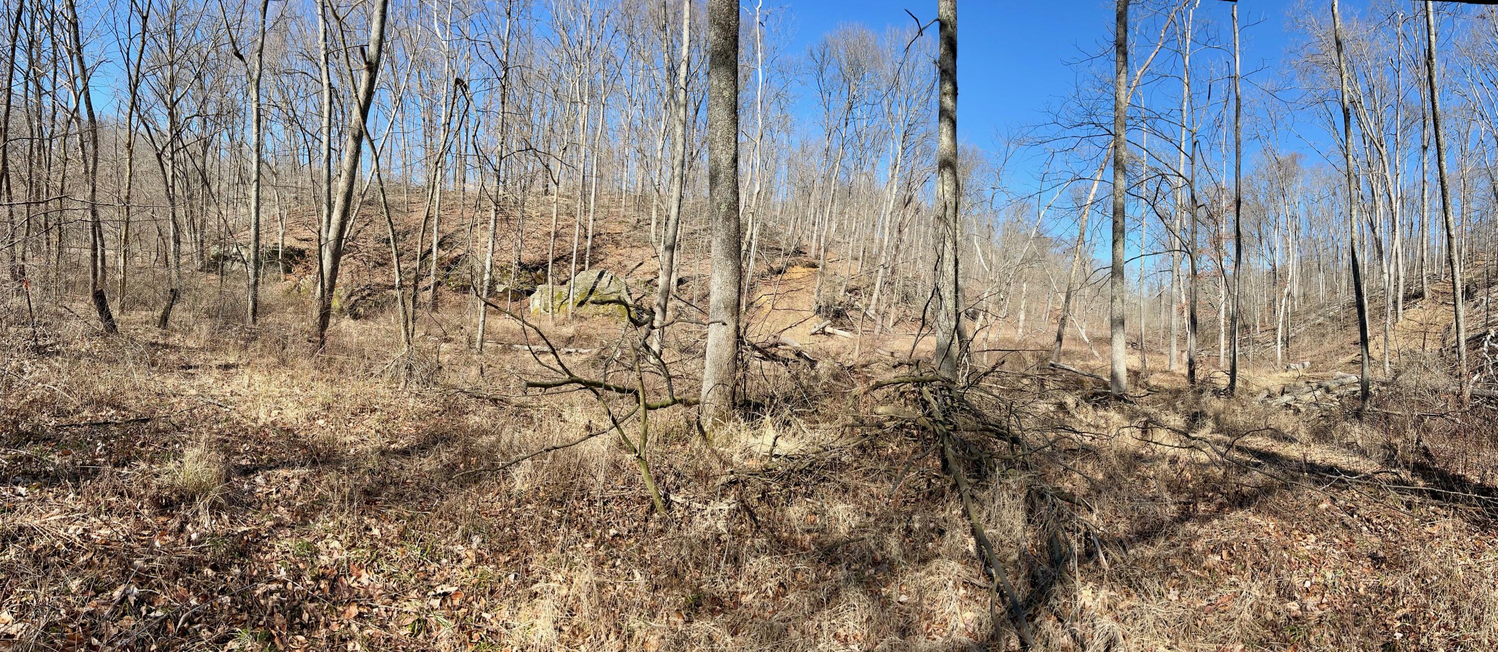 5123 State Route 13 Se Property Photo 44