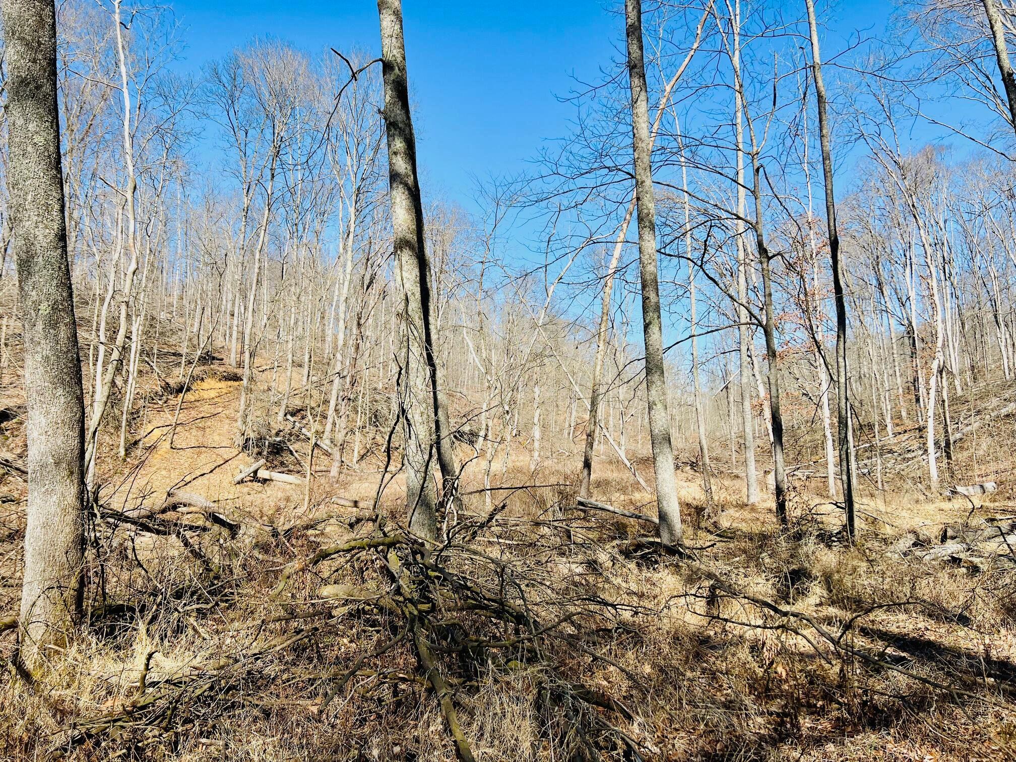 5123 State Route 13 Se Property Photo 45