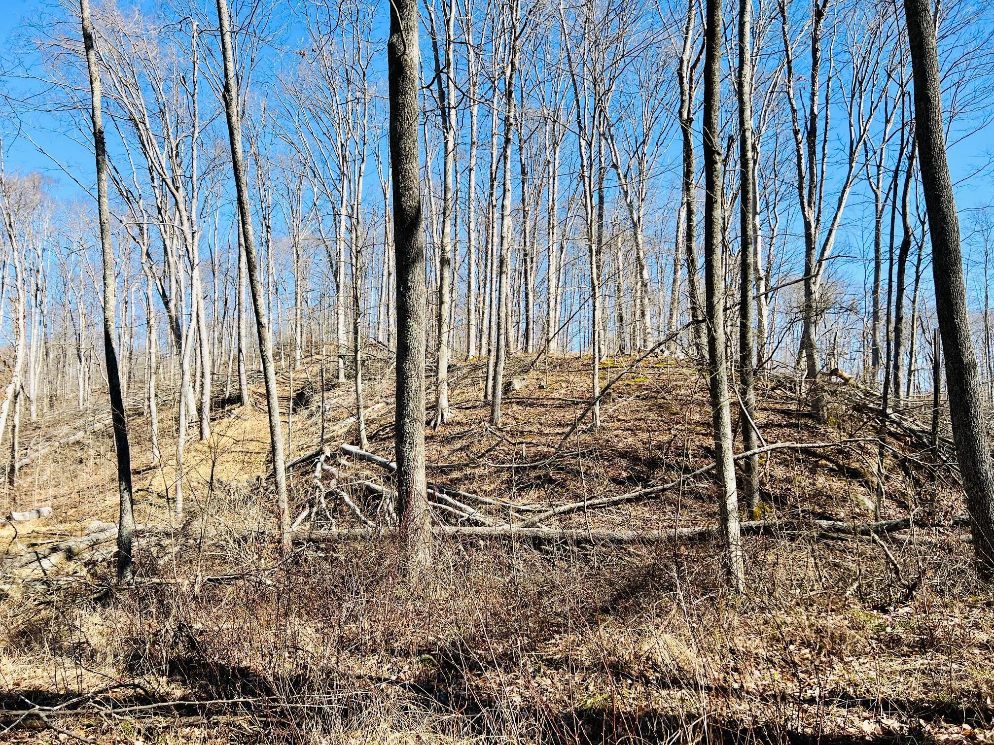 5123 State Route 13 Se Property Photo 46