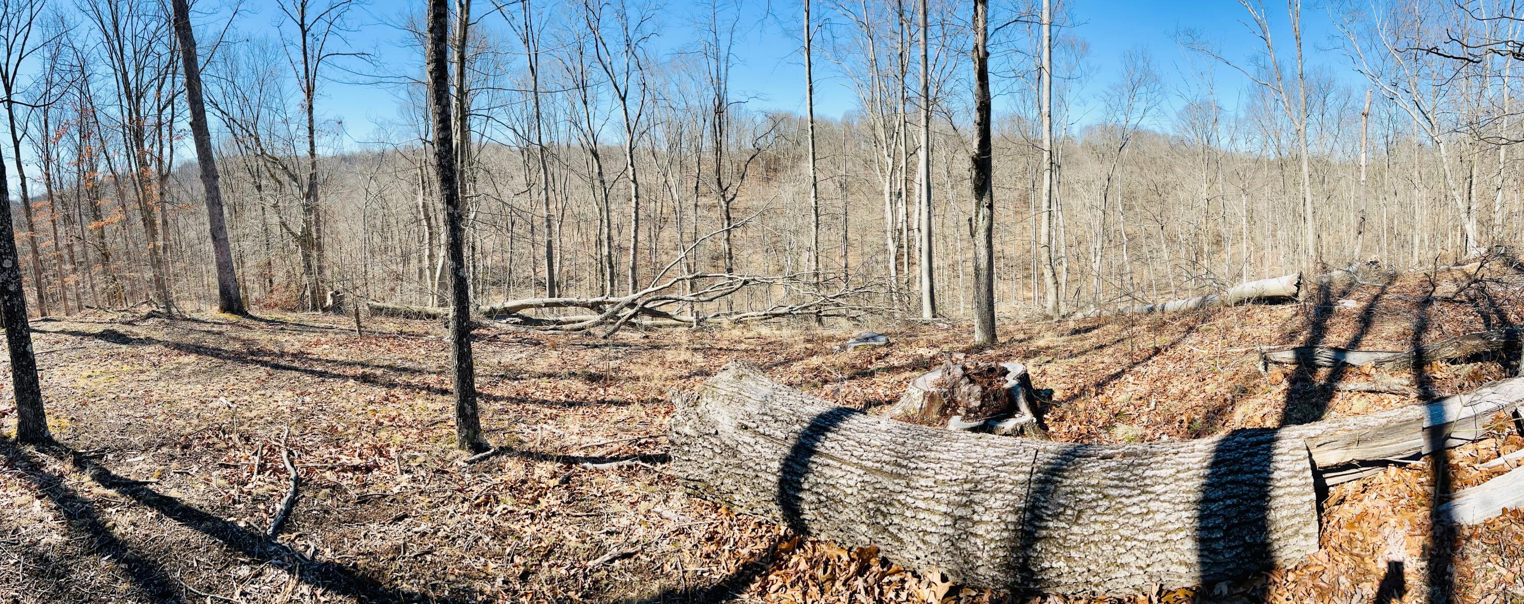 5123 State Route 13 Se Property Photo 48