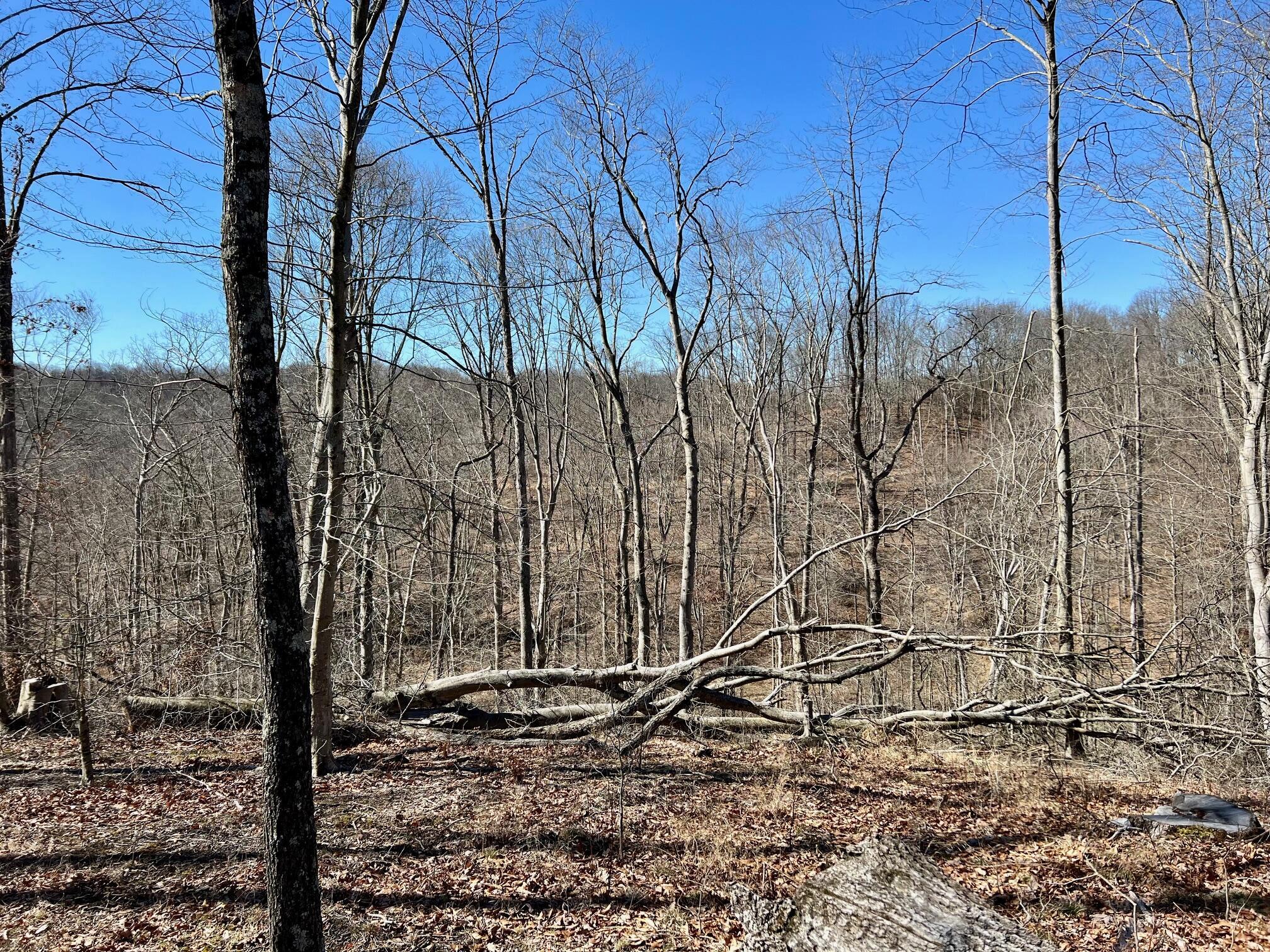 5123 State Route 13 Se Property Photo 49