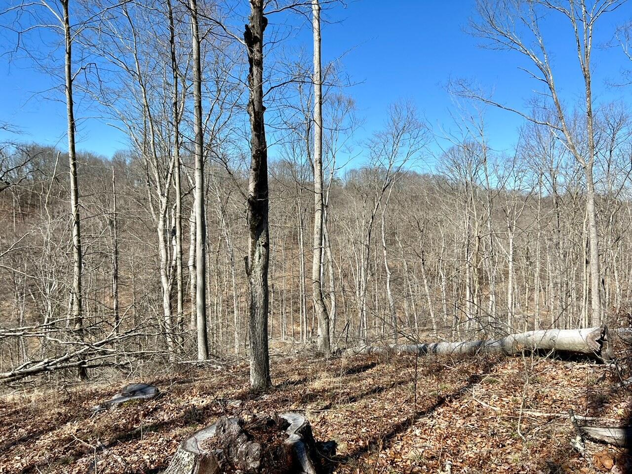 5123 State Route 13 Se Property Photo 50