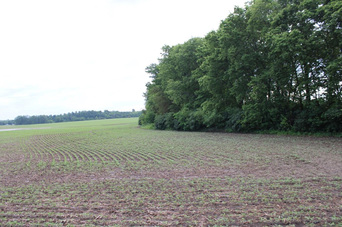 0 Co Rd 130 Property Photo 5
