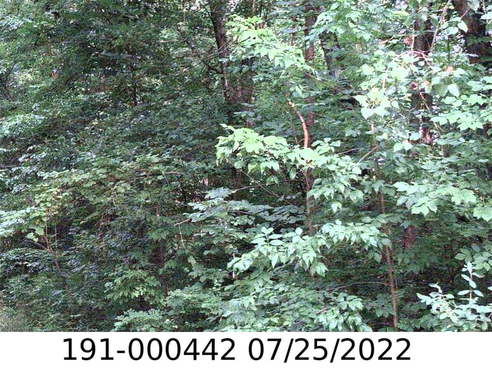 0 E Minnesota Avenue Property Photo 1