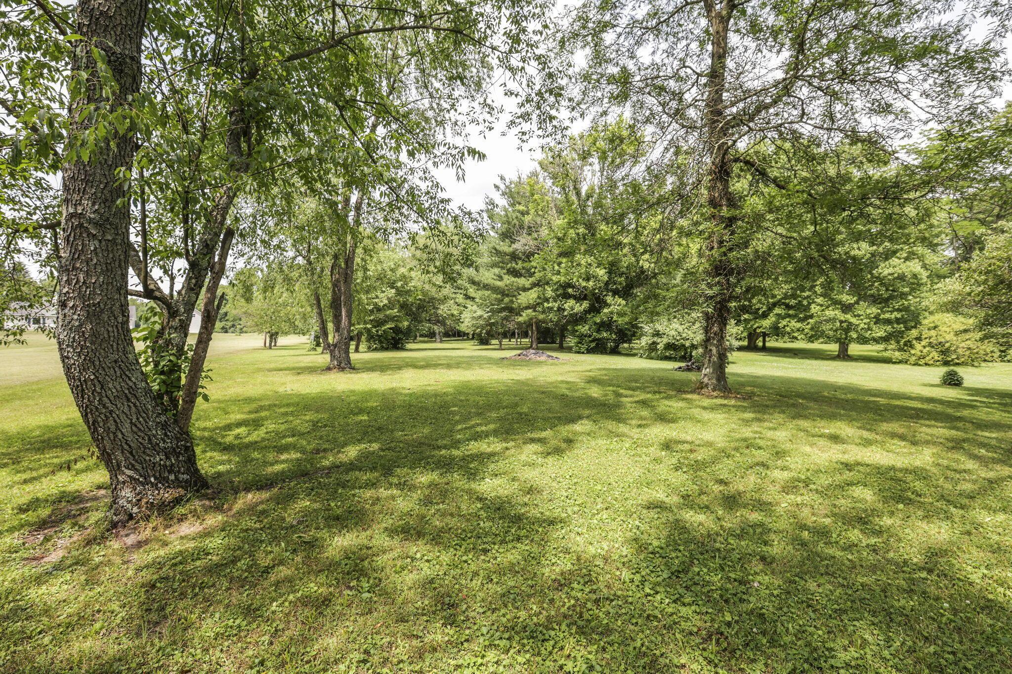 4190 Johnstown-alexandria Road Property Photo 78