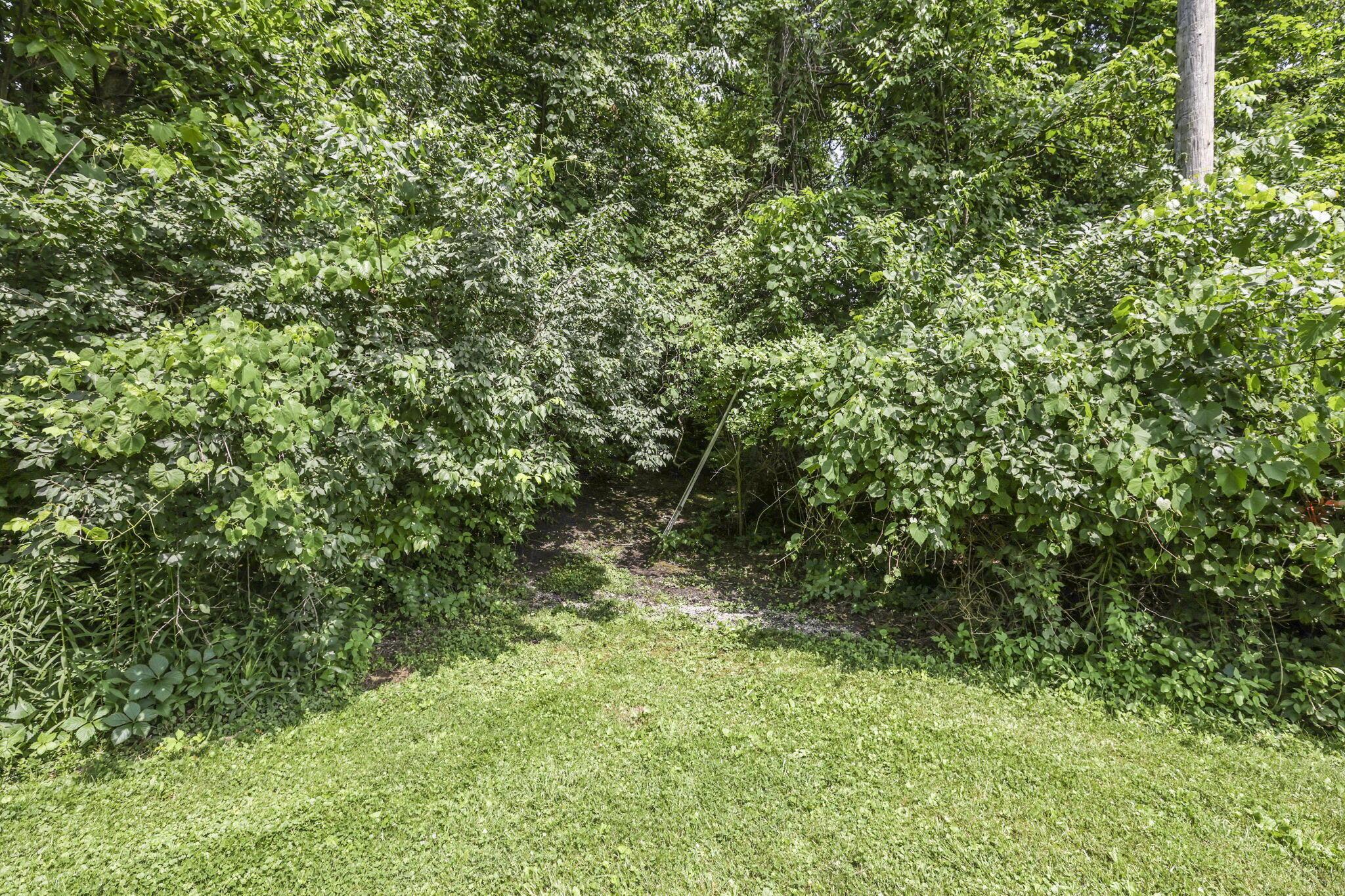 4190 Johnstown-alexandria Road Property Photo 80