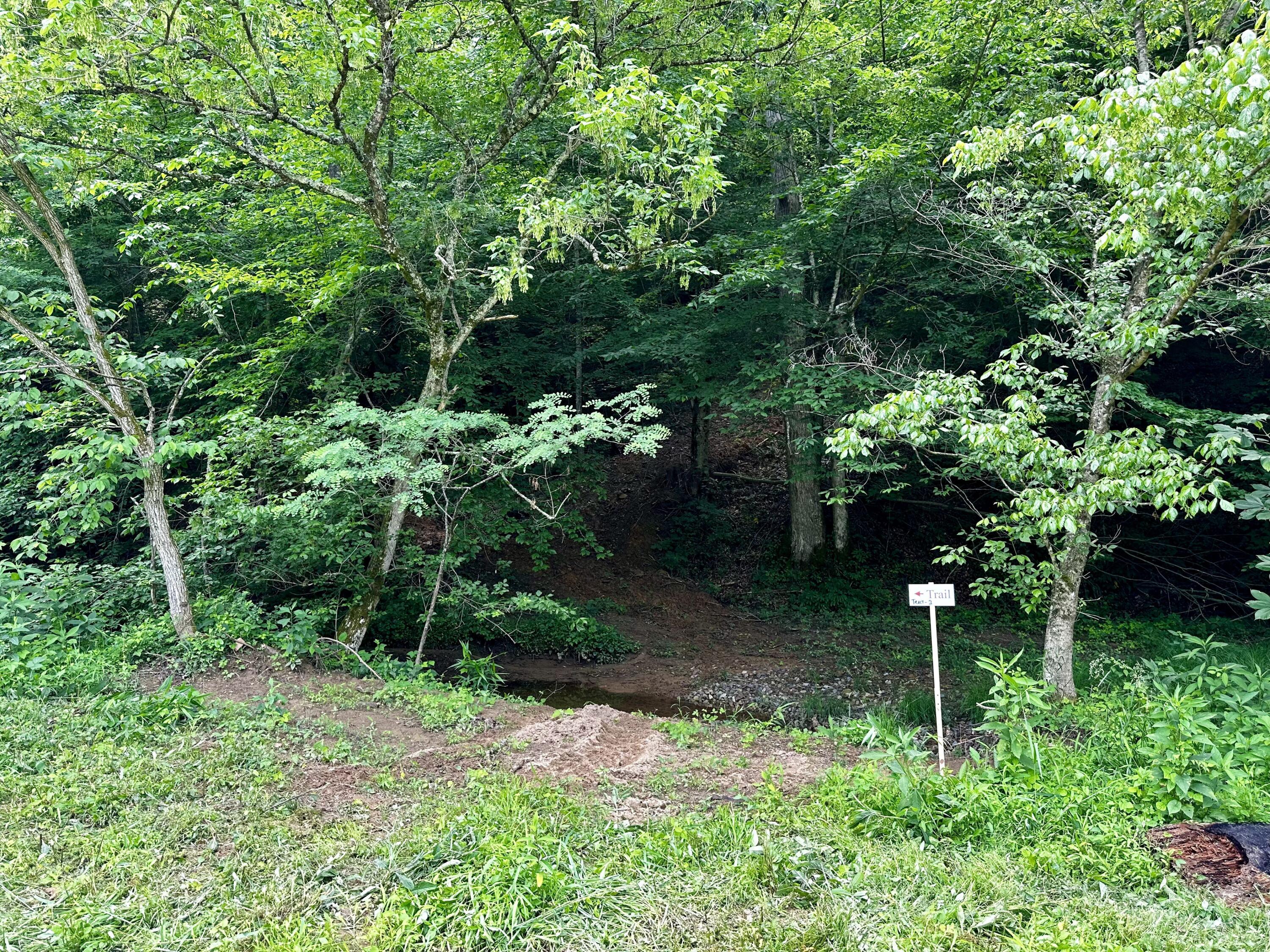 1865 Hull Road, (tract 2 Woods Wayne Forest) Property Photo 4