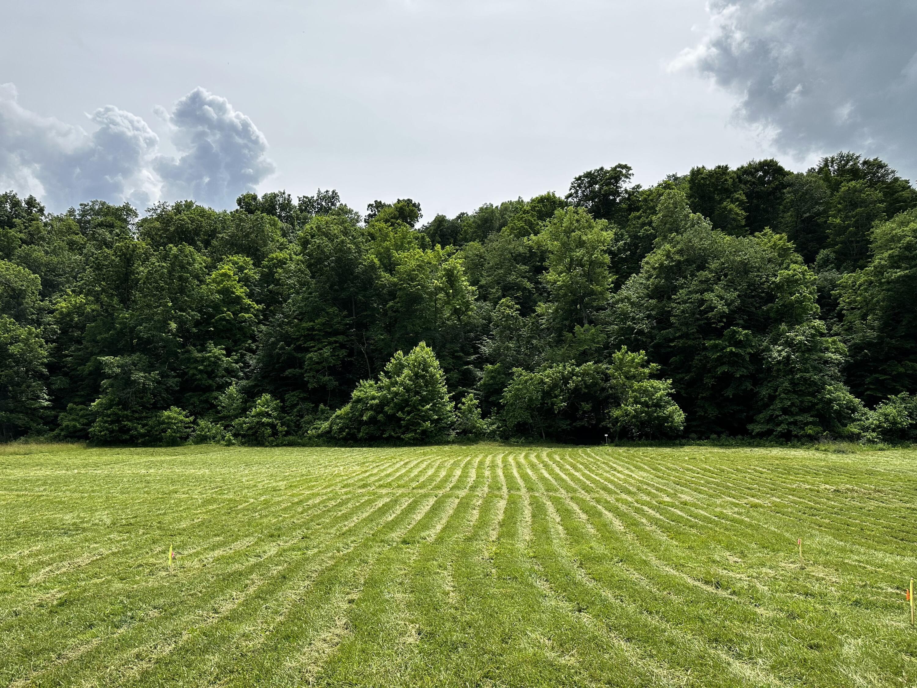 1865 Hull Road, (tract 2 Woods Wayne Forest) Property Photo 16
