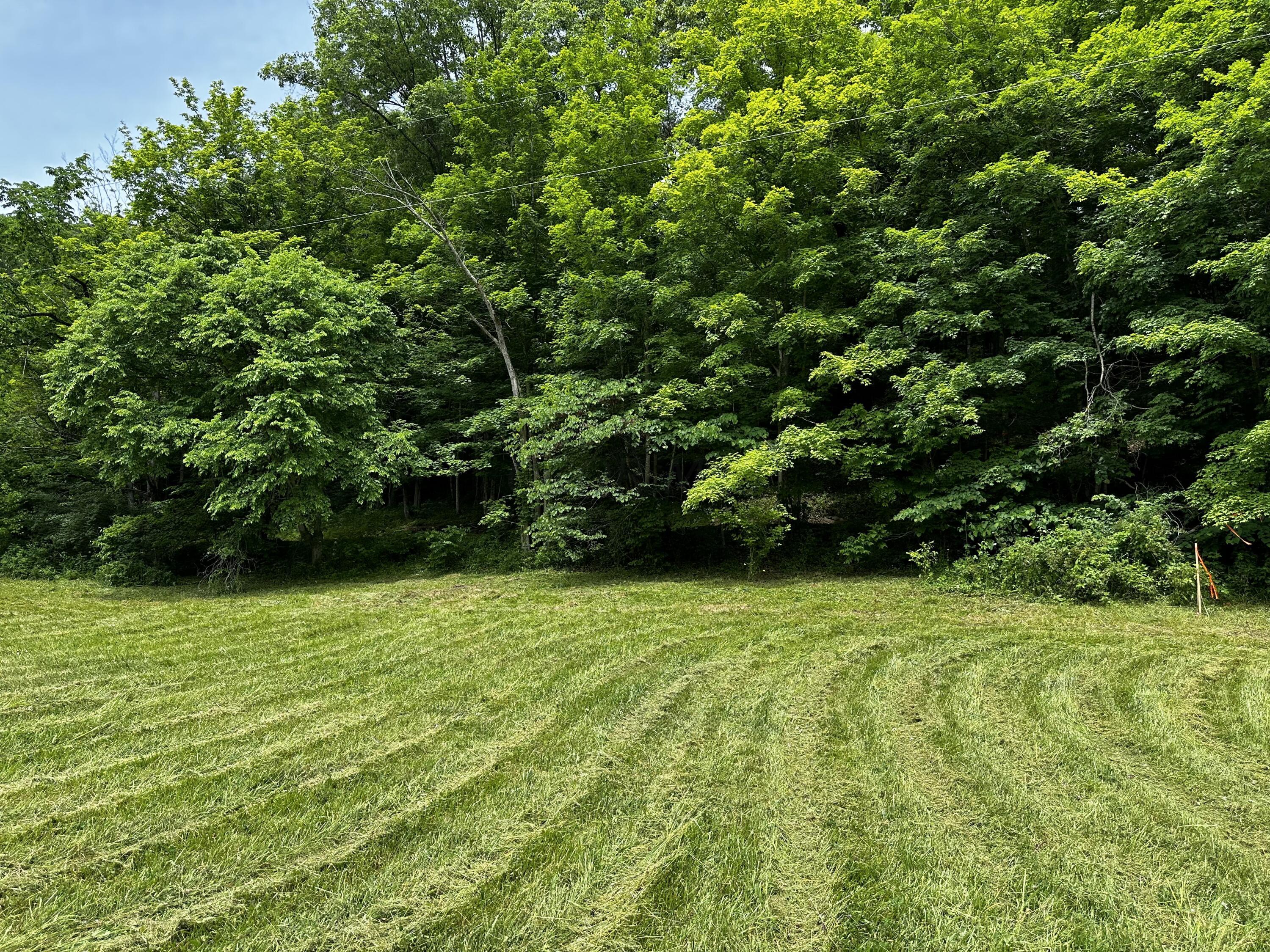 1865 Hull Road, (tract 2 Woods Wayne Forest) Property Photo 19