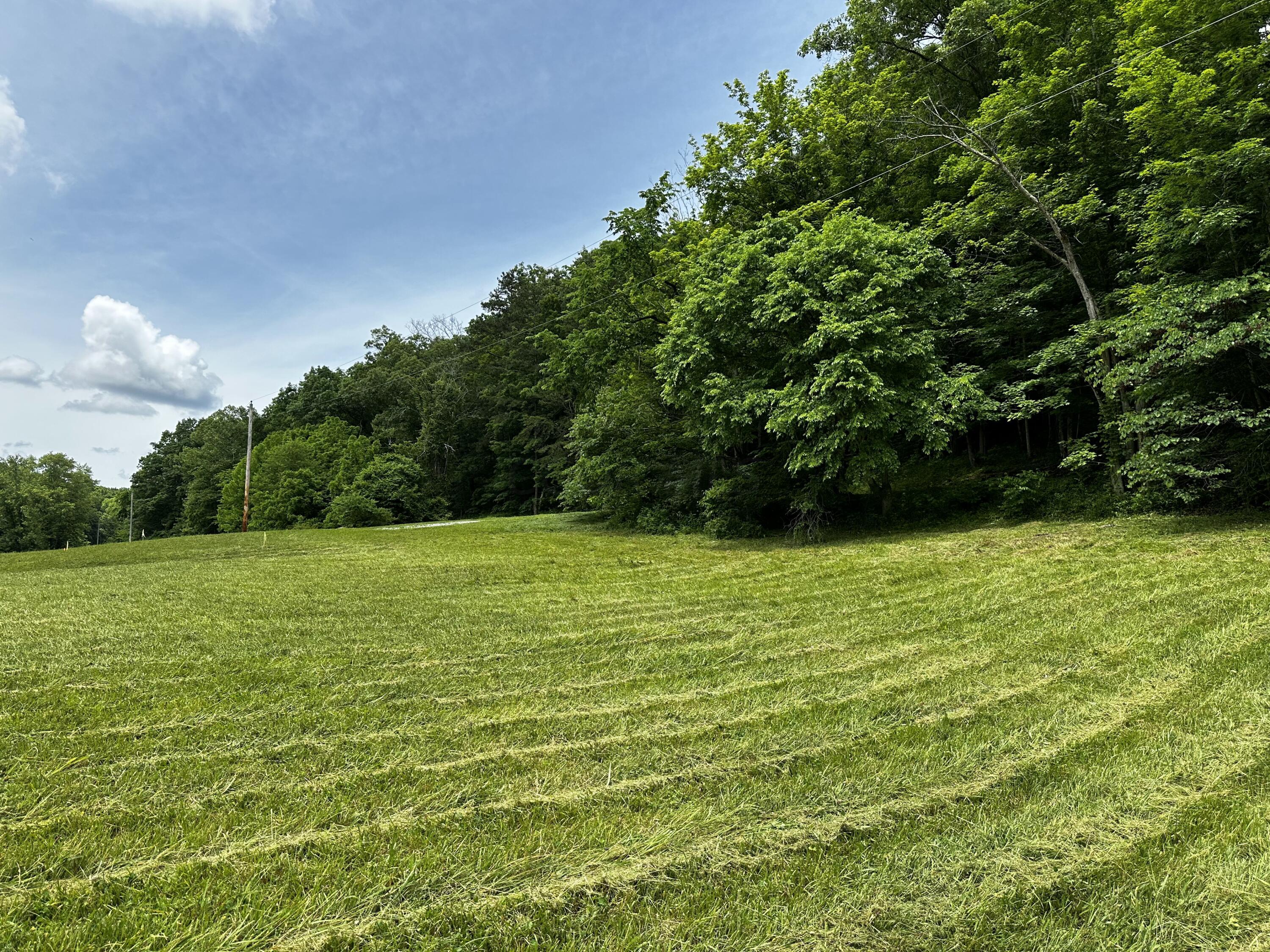 1865 Hull Road, (tract 2 Woods Wayne Forest) Property Photo 20