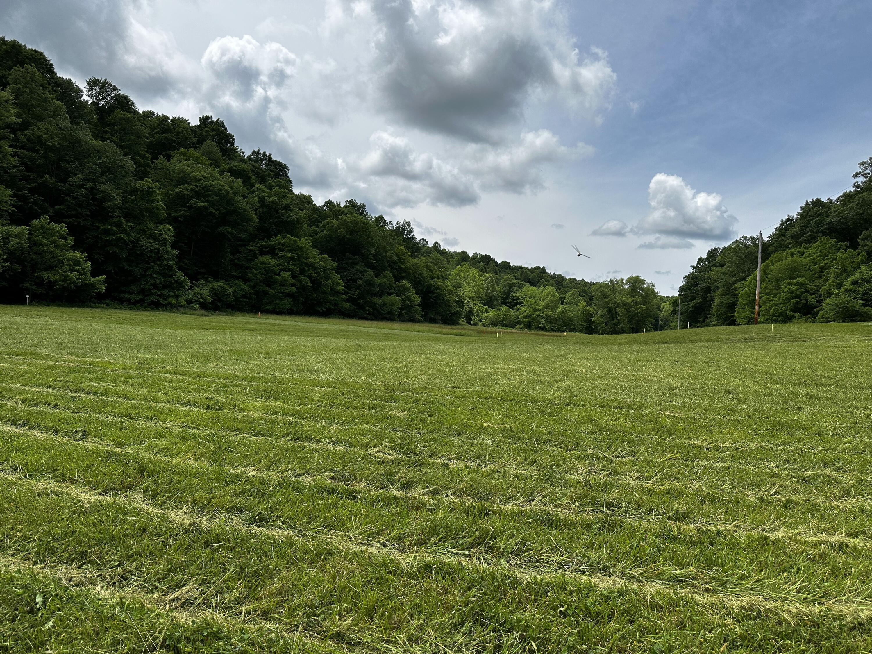 1865 Hull Road, (tract 2 Woods Wayne Forest) Property Photo 21