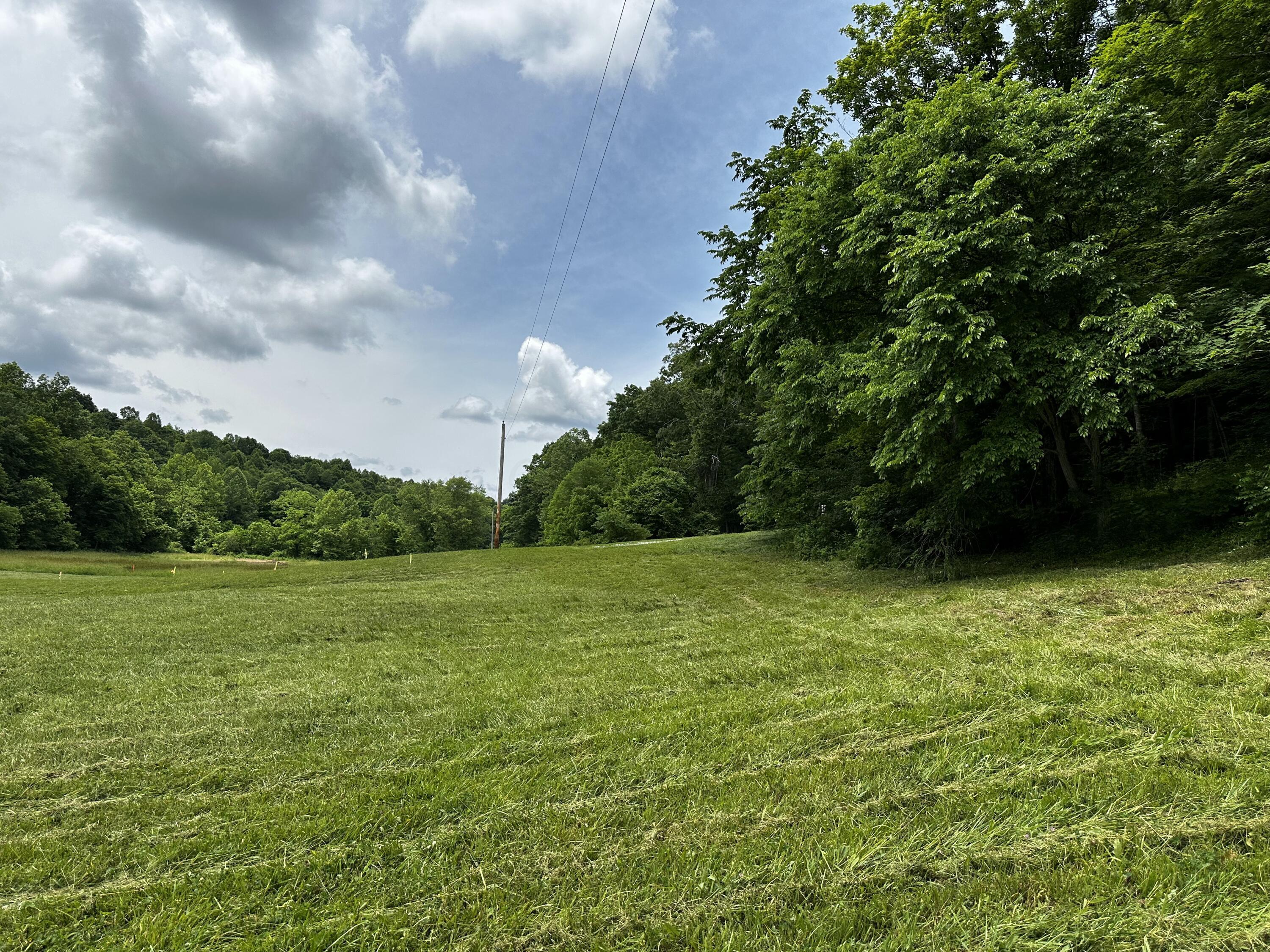 1865 Hull Road, (tract 2 Woods Wayne Forest) Property Photo 22