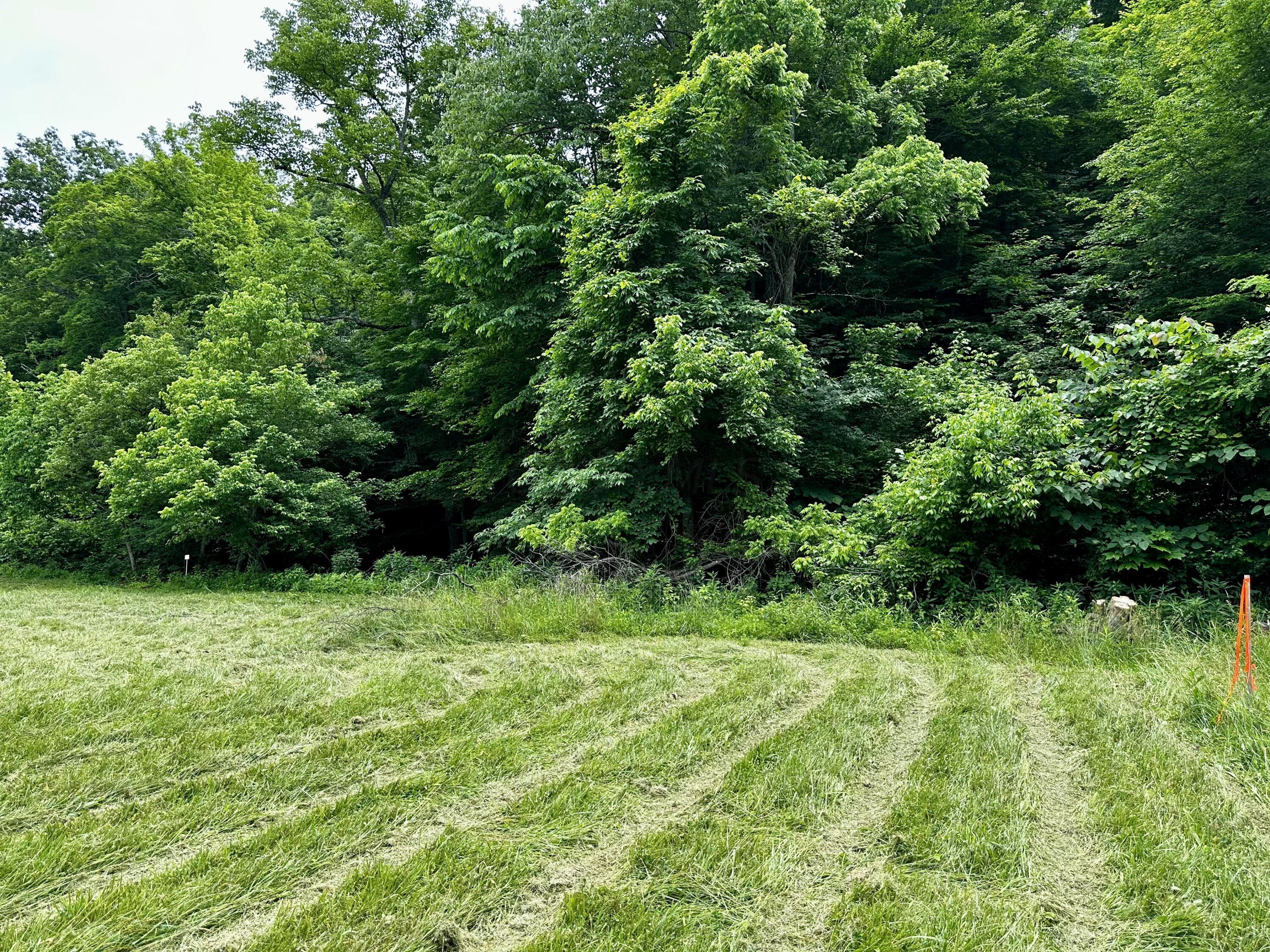1865 Hull Road, (tract 2 Woods Wayne Forest) Property Photo 26